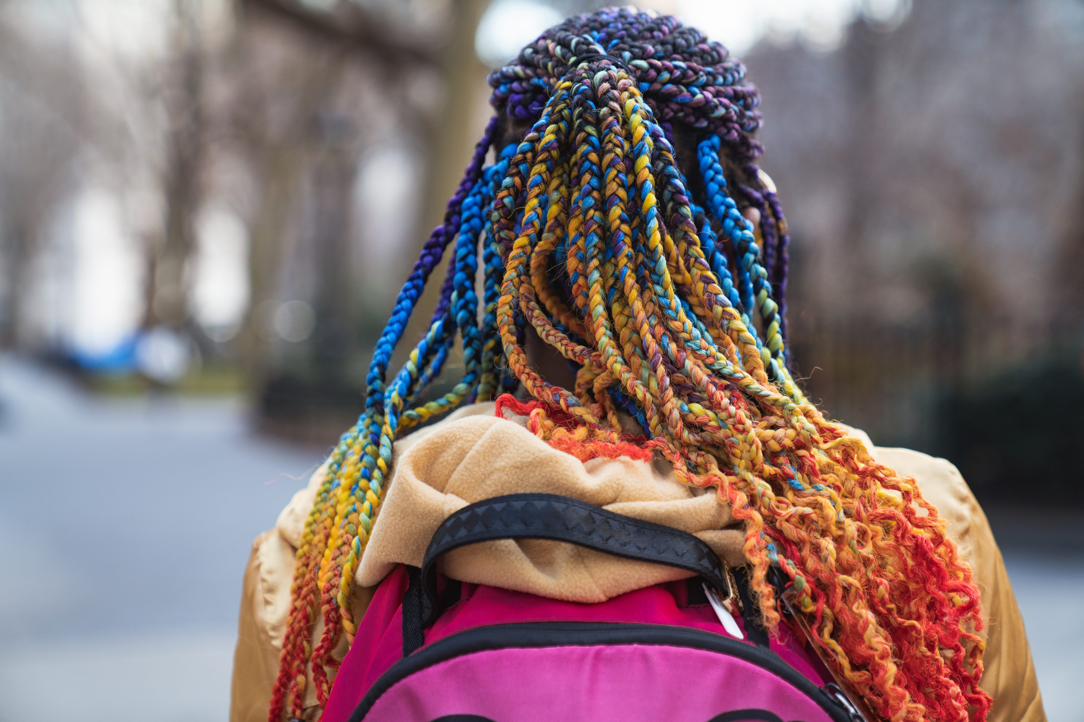 Rainbow Braids