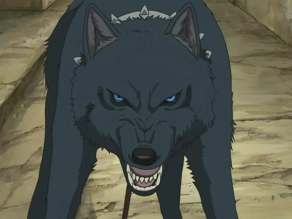 Blue (Wolf's Rain)