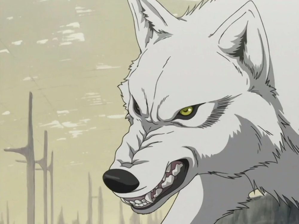 Kiba (Wolf's Rain)