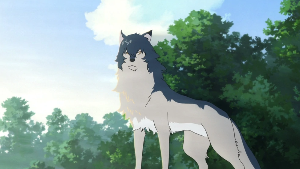 Ame (Wolf Children)