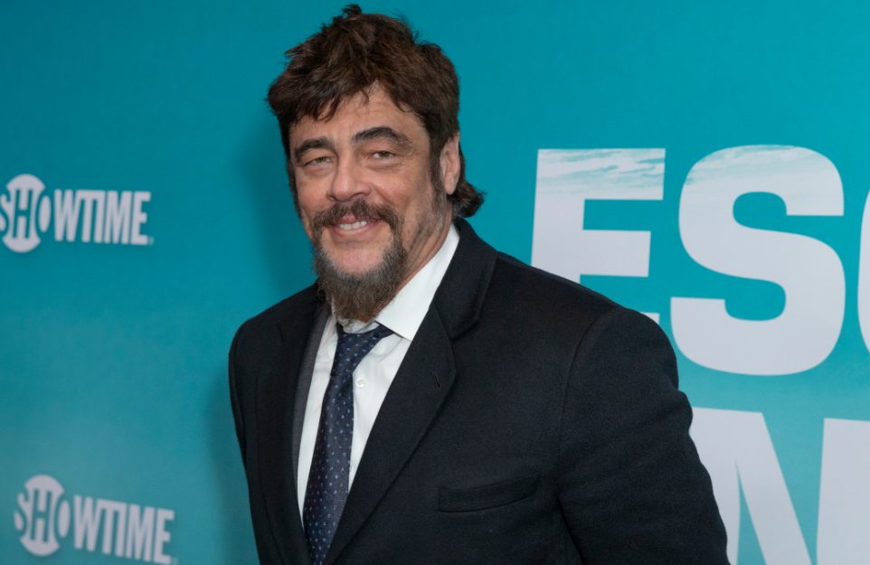 Benicio Del Toro