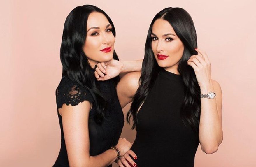 The Bella Twins