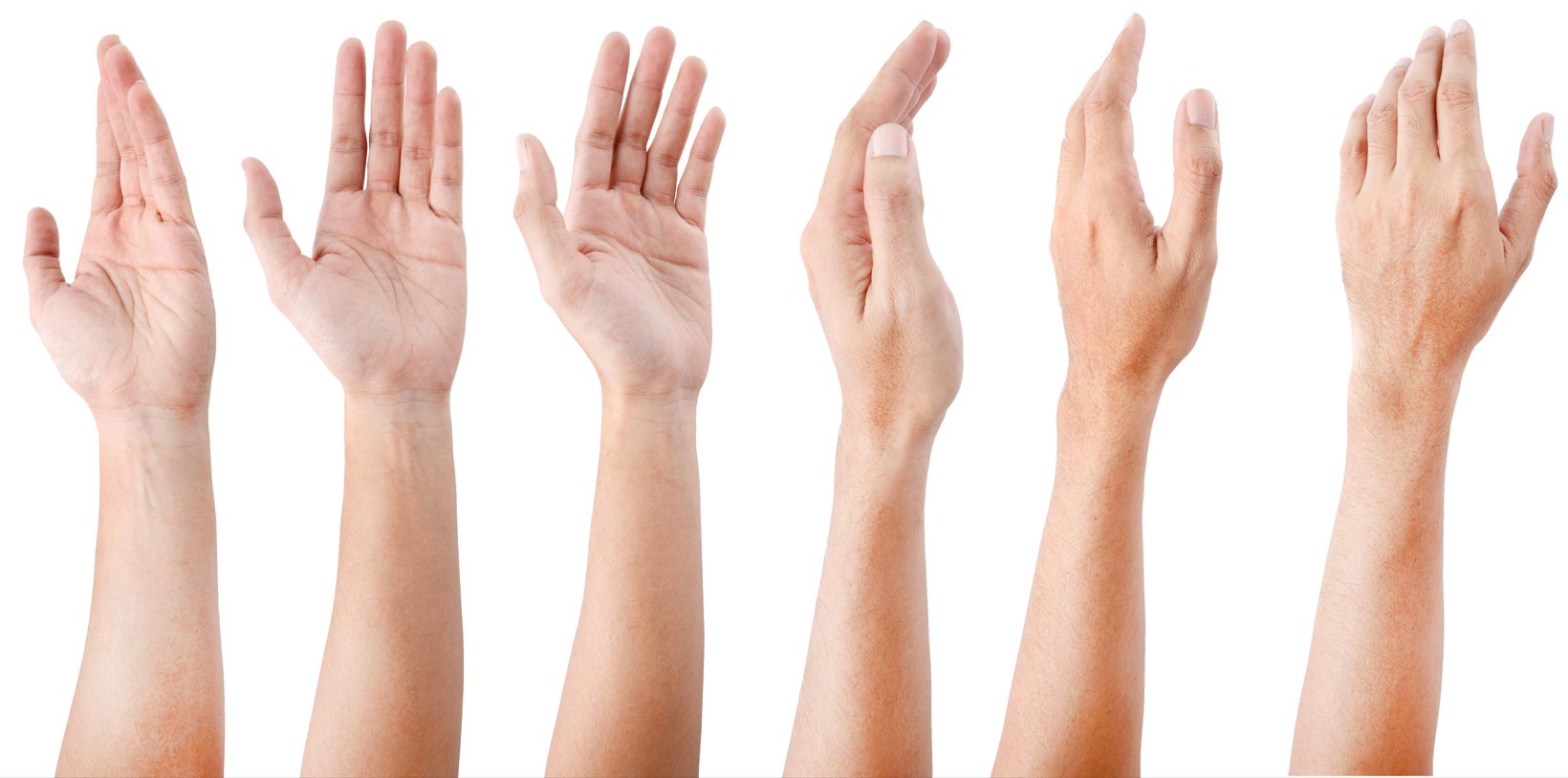 Adult Men Hand
