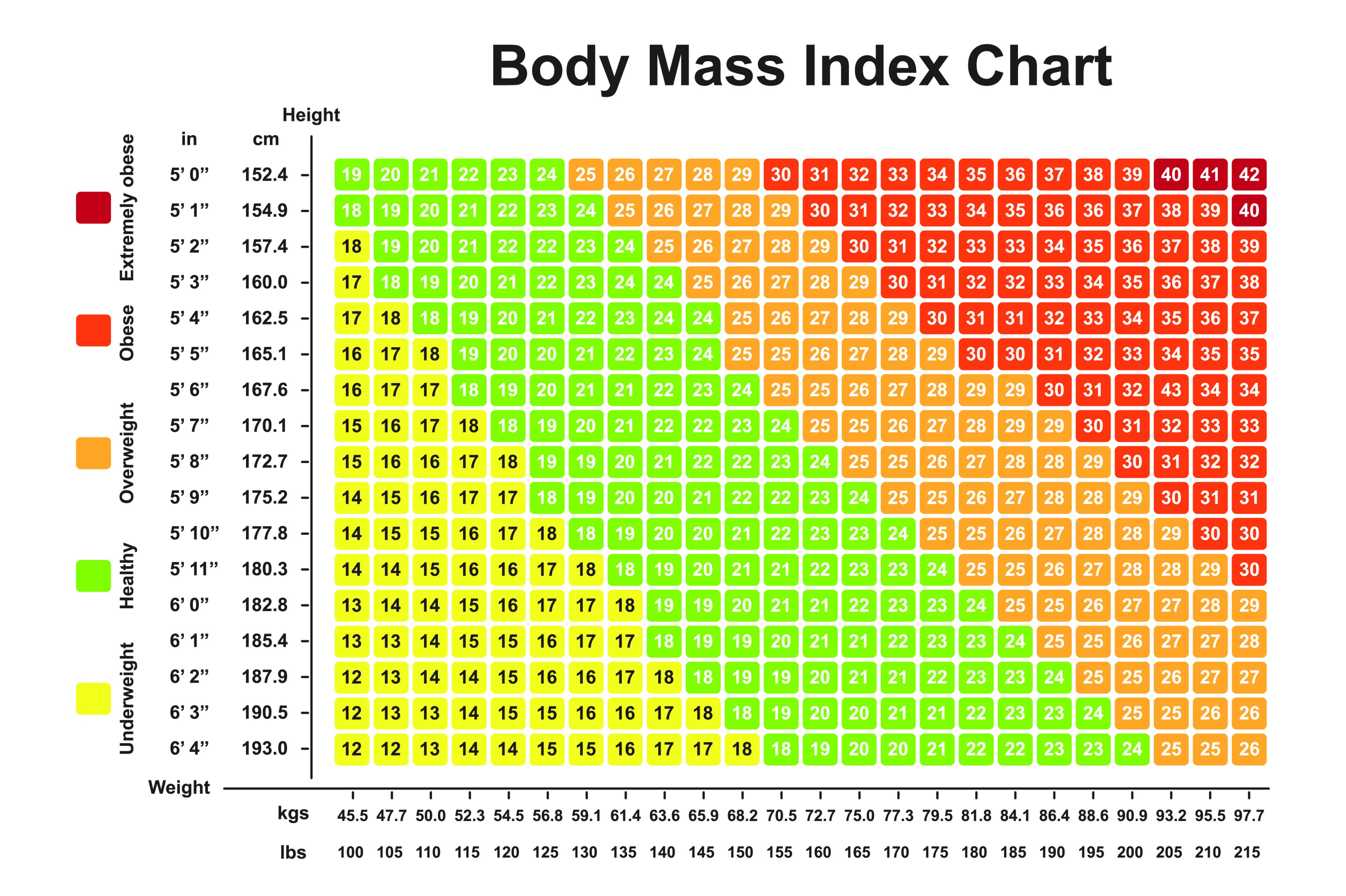 BMI chart