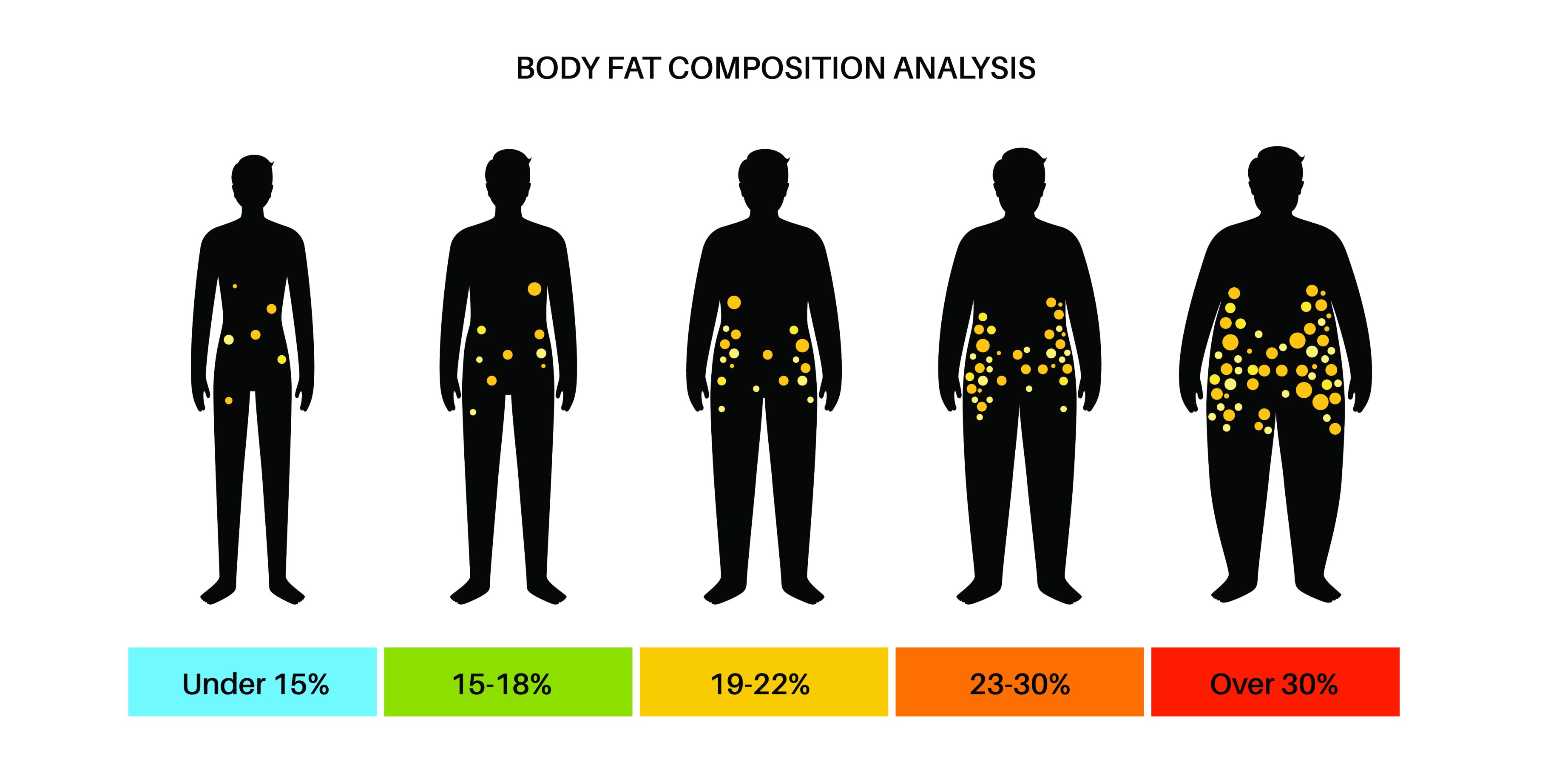 Body Fat Analysis