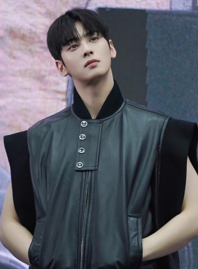 Cha Eunwoo