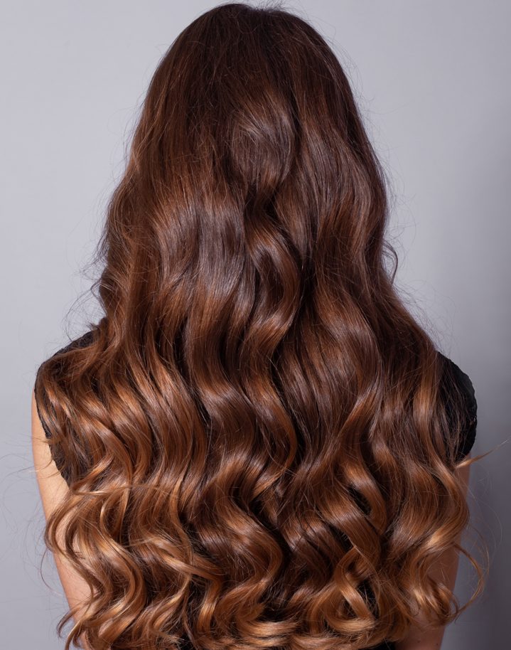Chocolate Brown Color