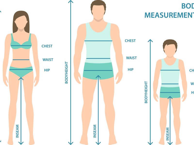 Height and Body Measurement