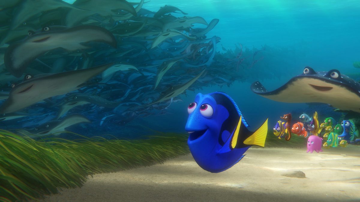 Dory