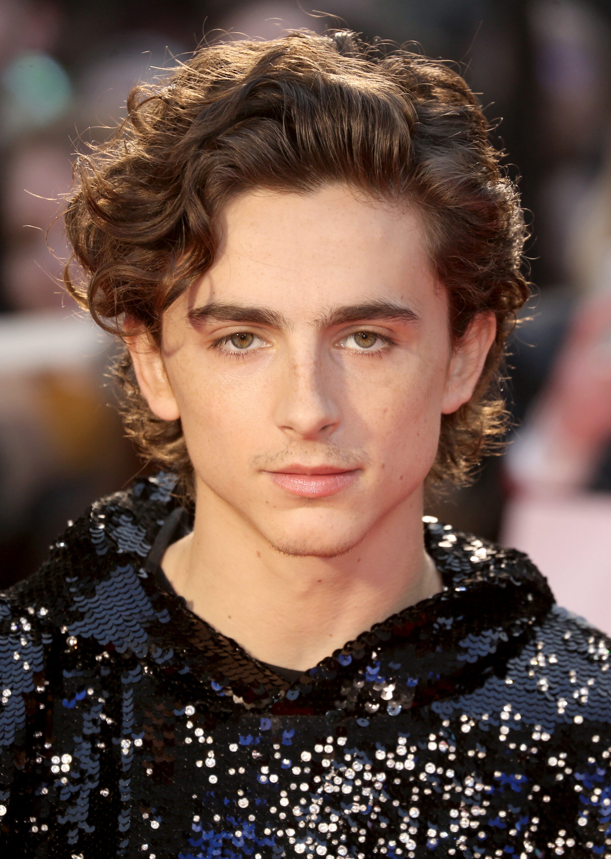 Timothée Chalamet 