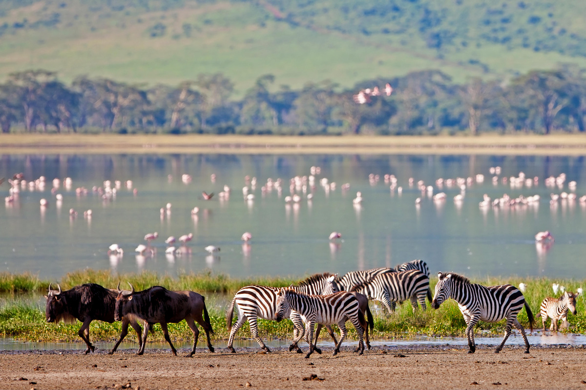 Tanzania