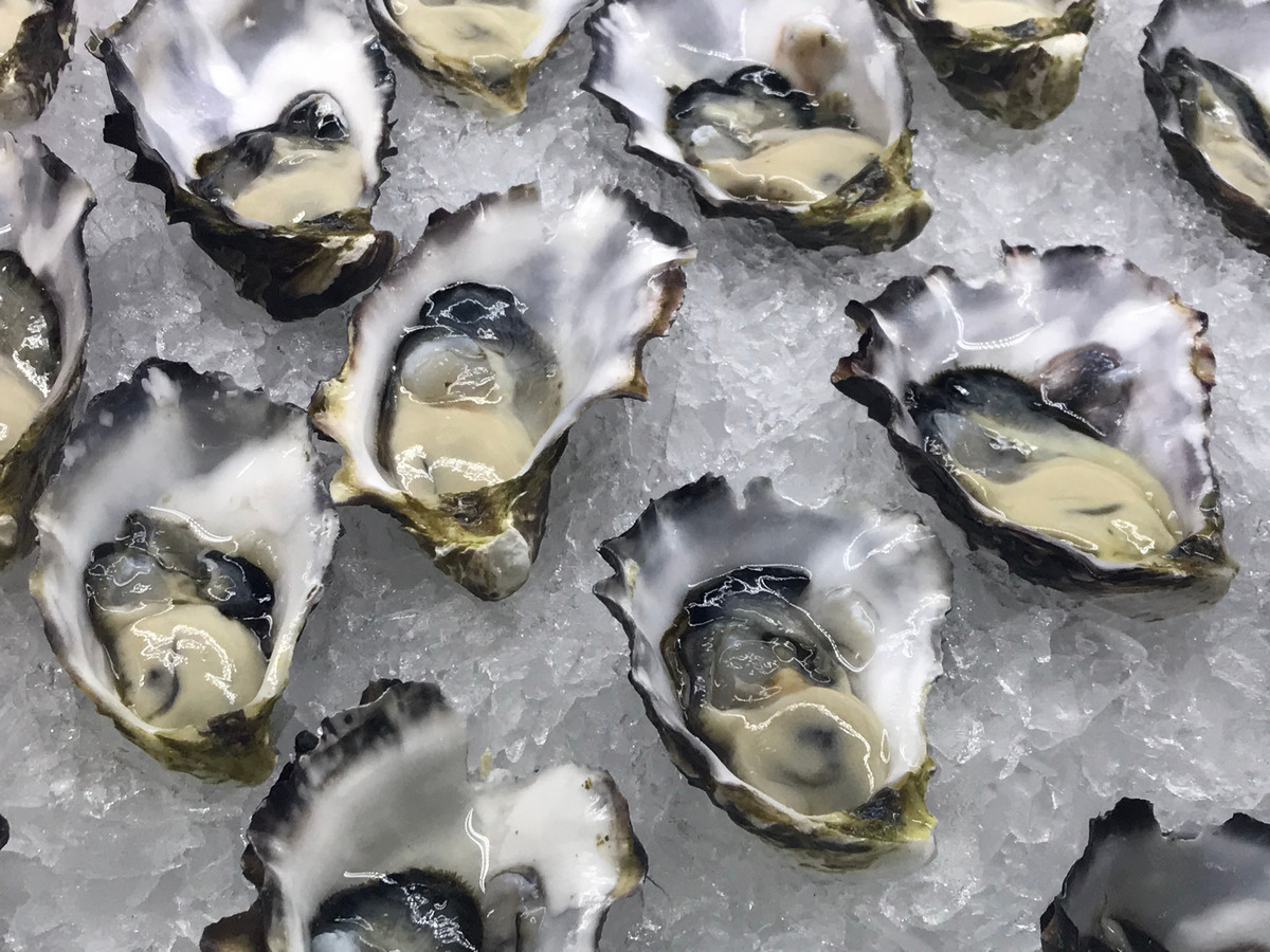 Coffin Bay Oysters