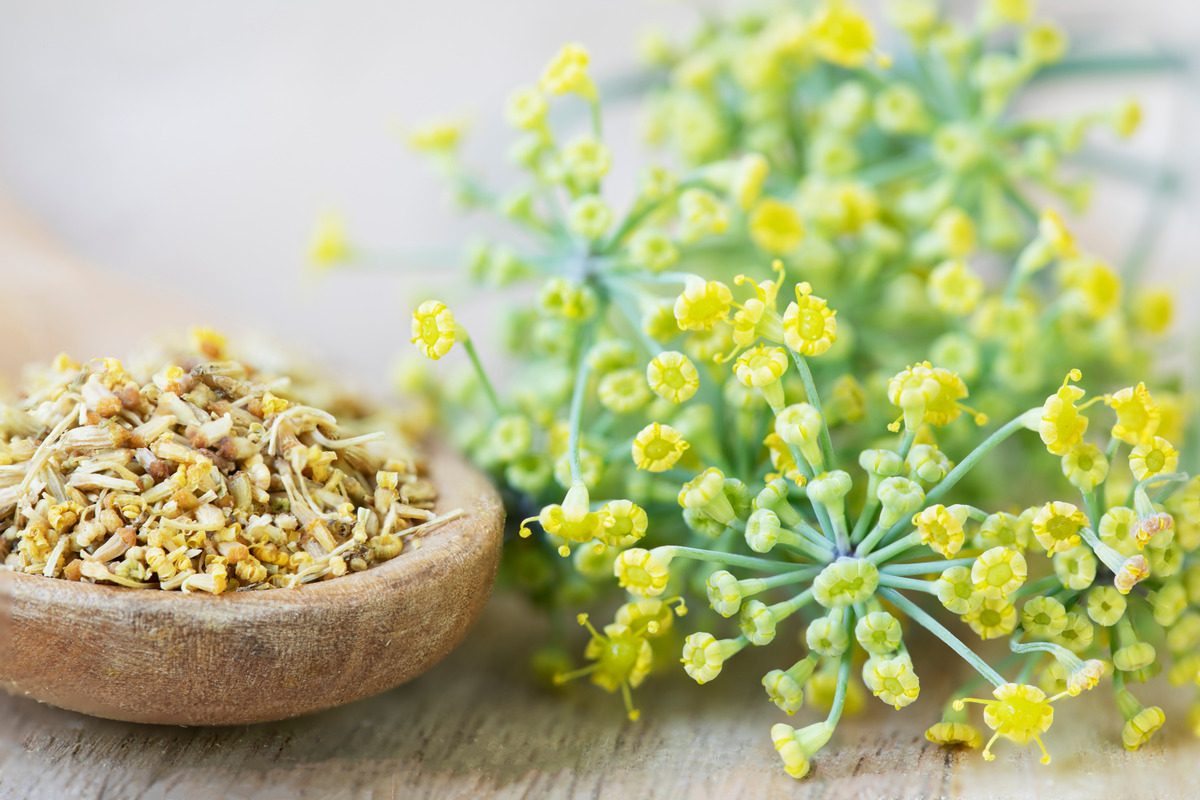 Fennel Pollen