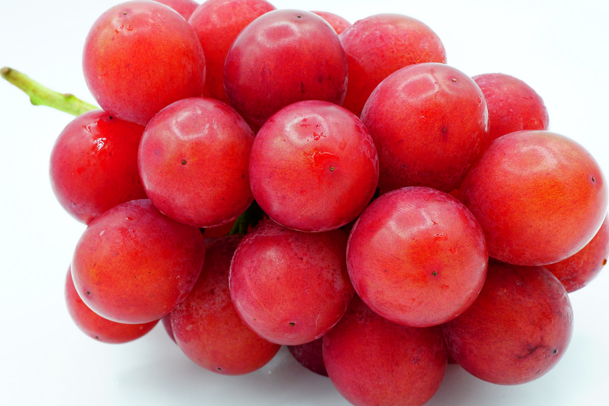 Ruby roman grape