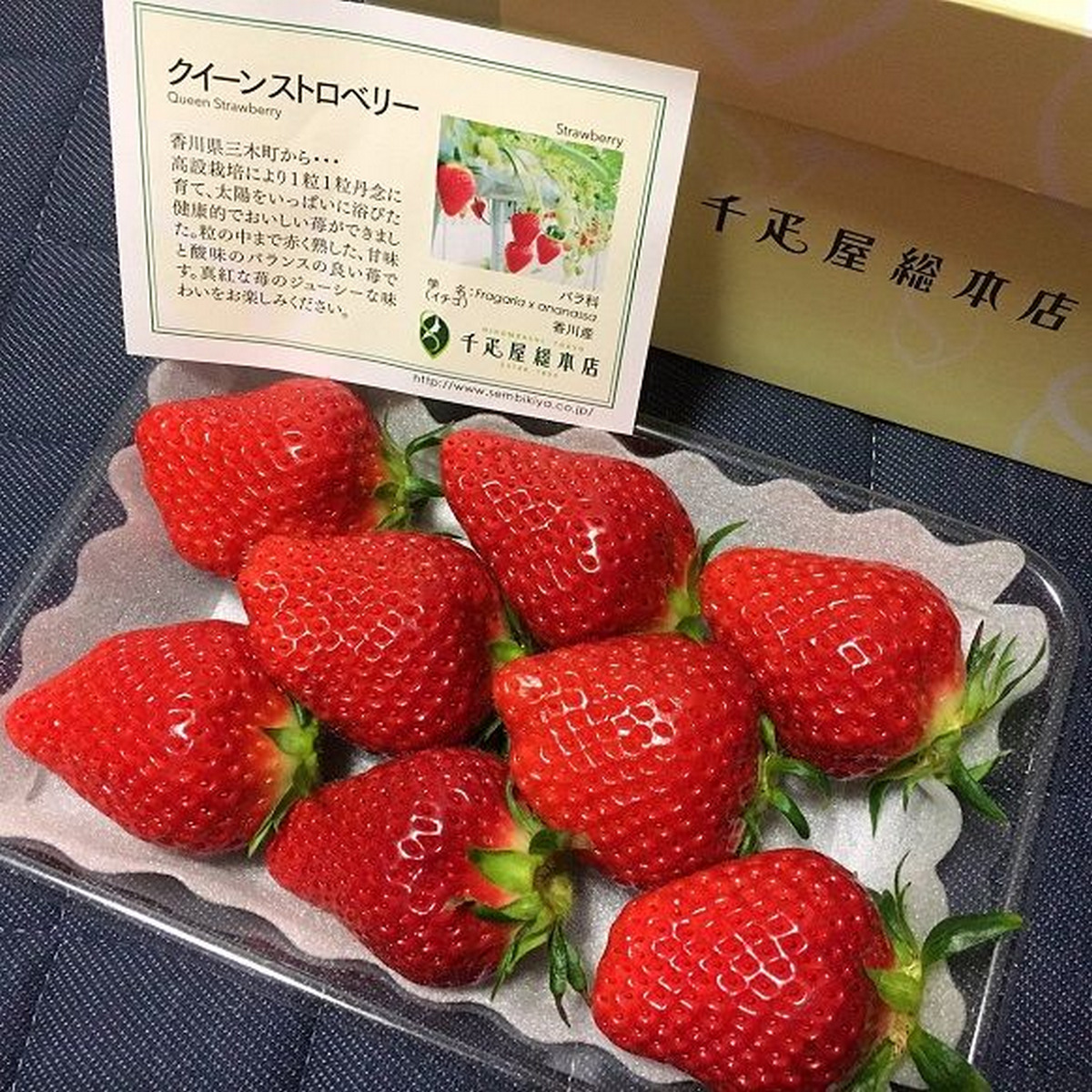 Strawberry Queen Sembikiya