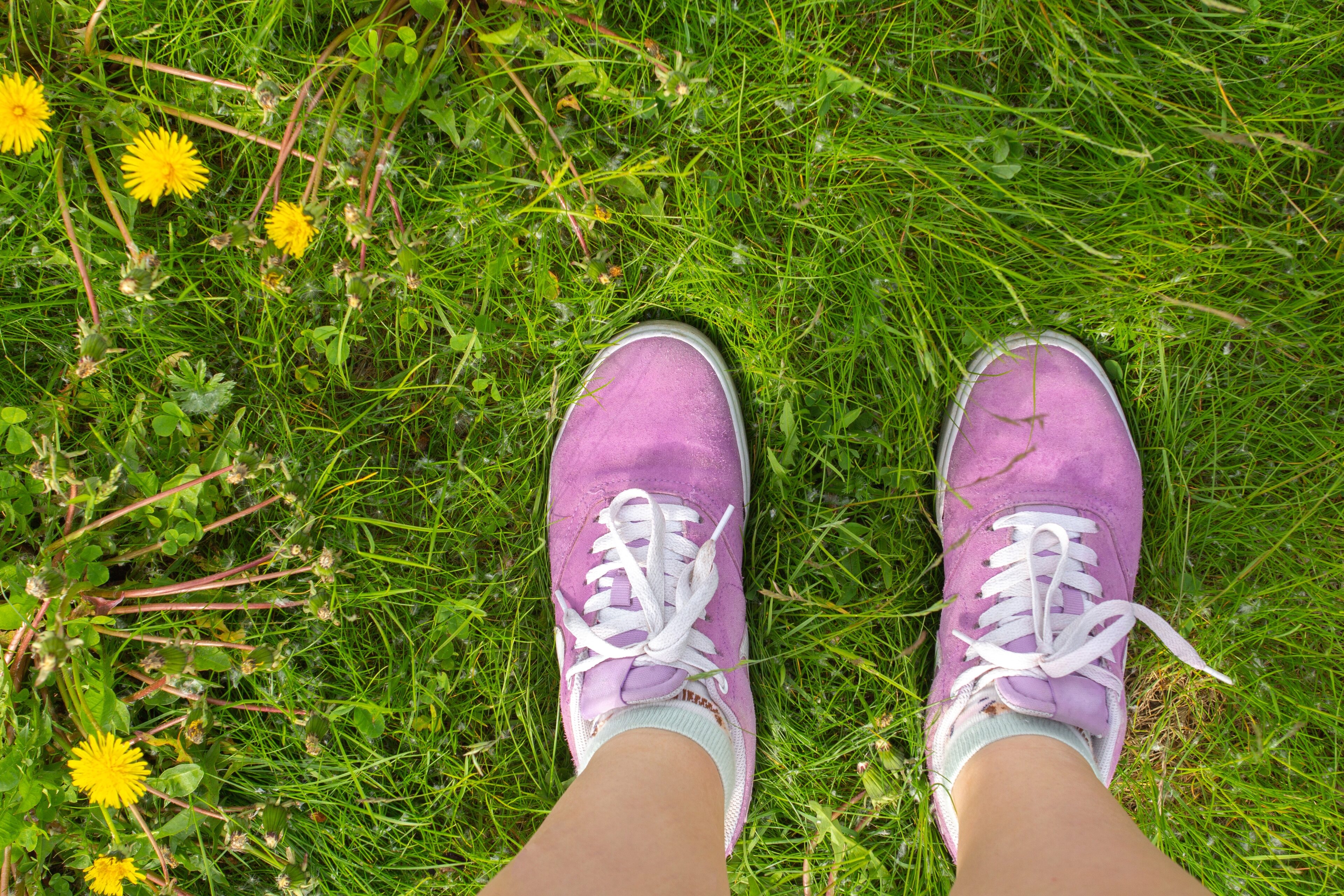 Violet Sneakers