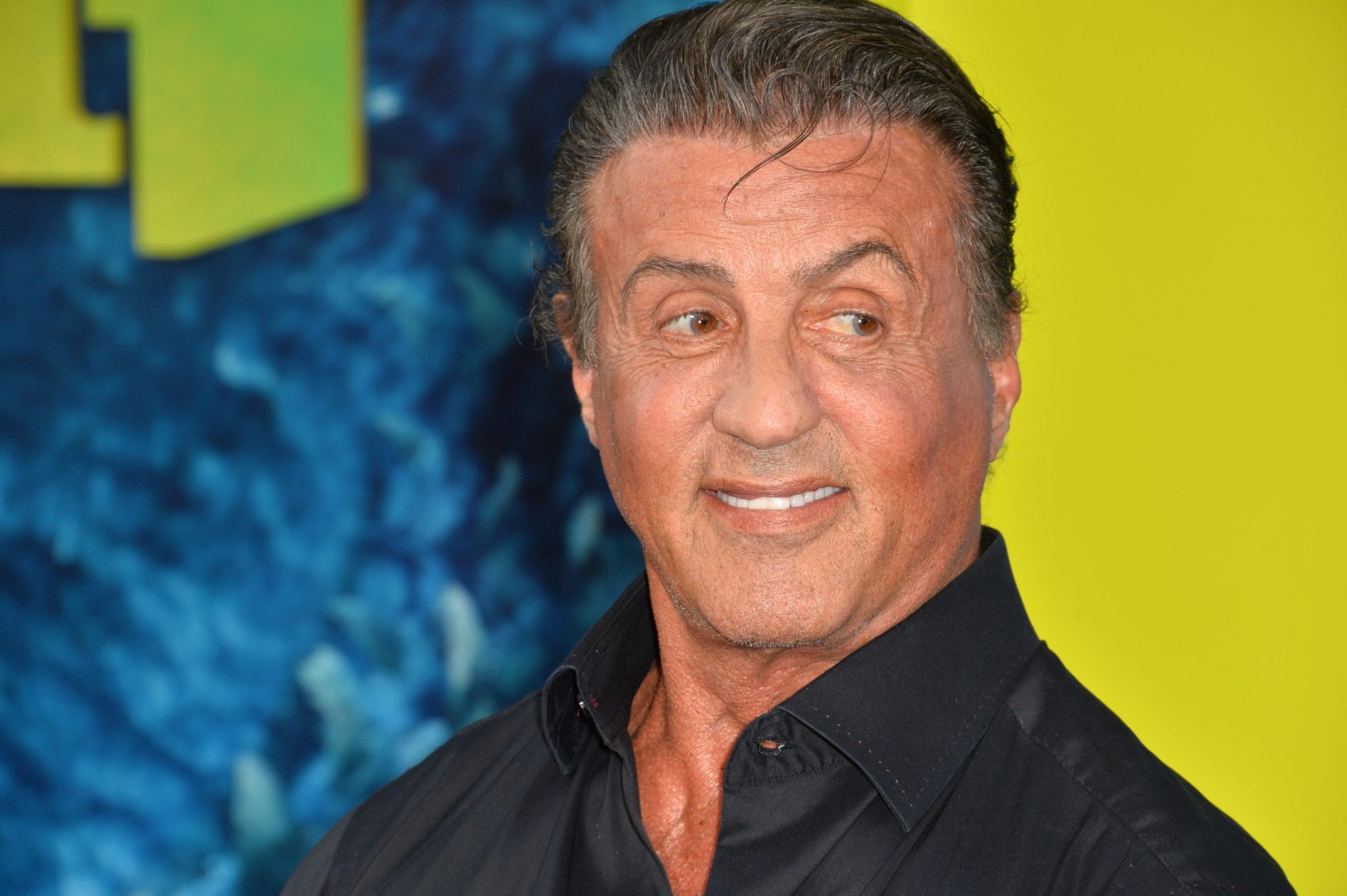 Mick Stallone