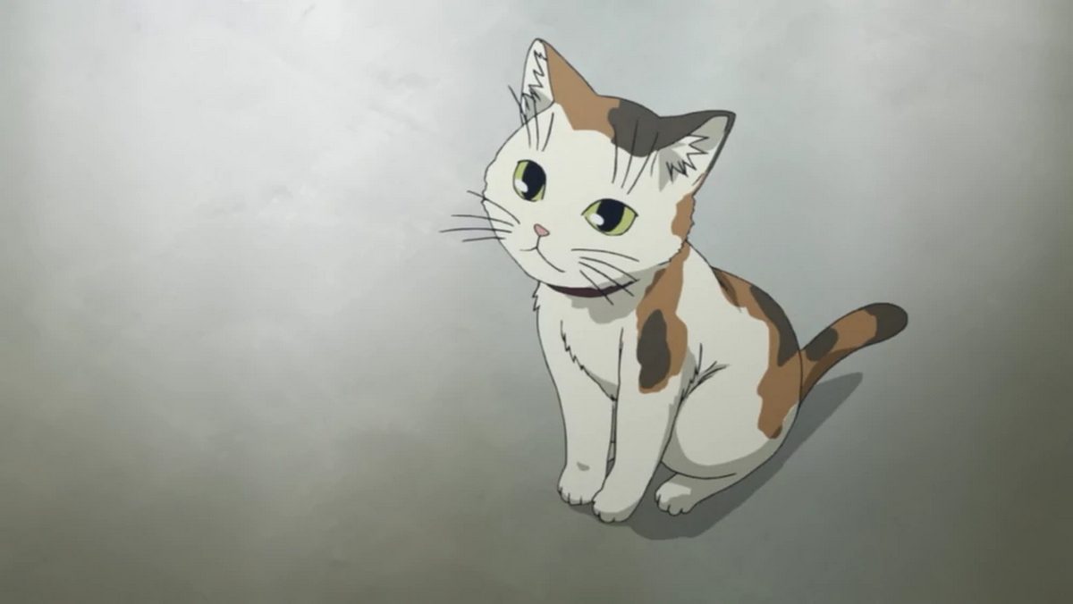 10 Best Japanese Anime Movies and Shorts For Cat Lovers  Munchiecat