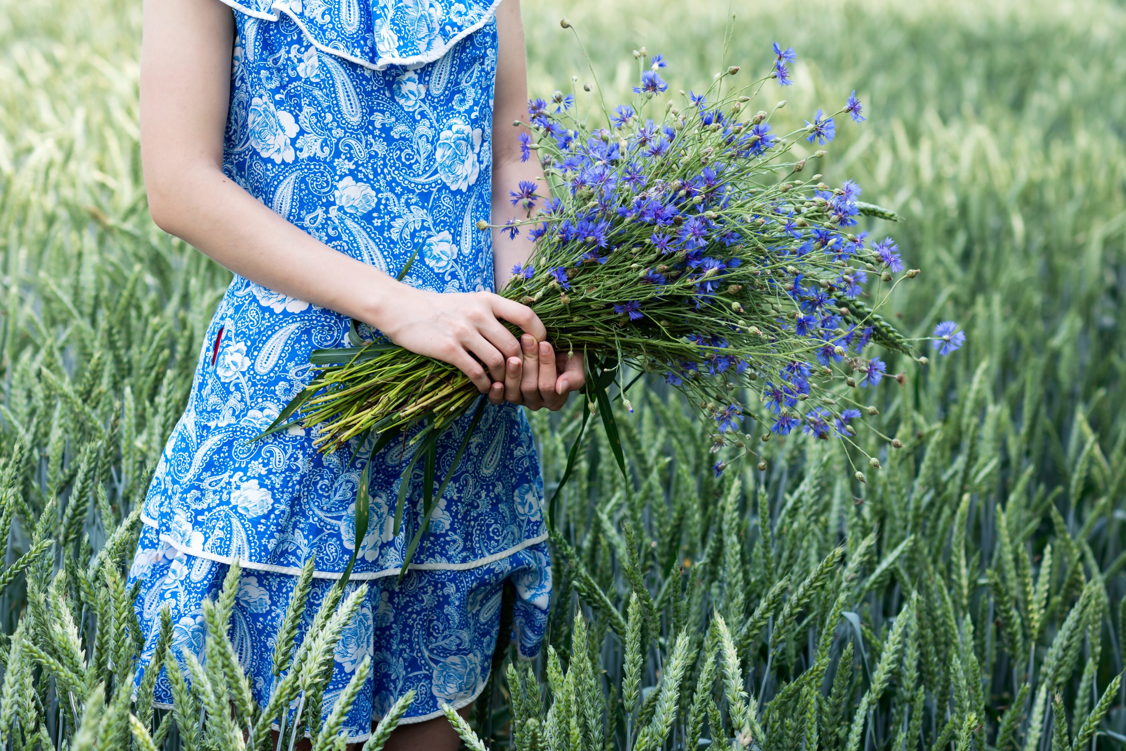 Cornflower Blue