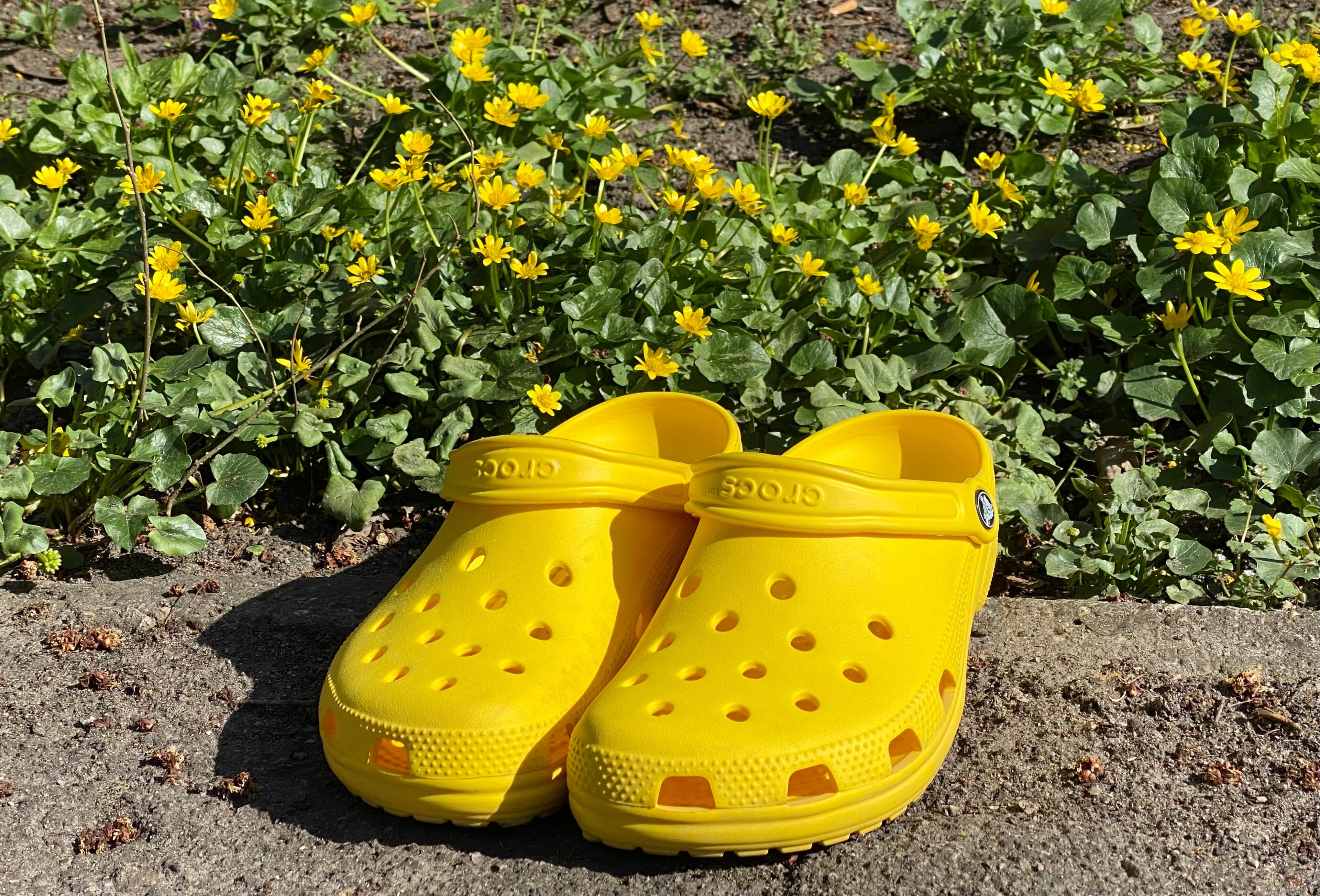  Crocs 