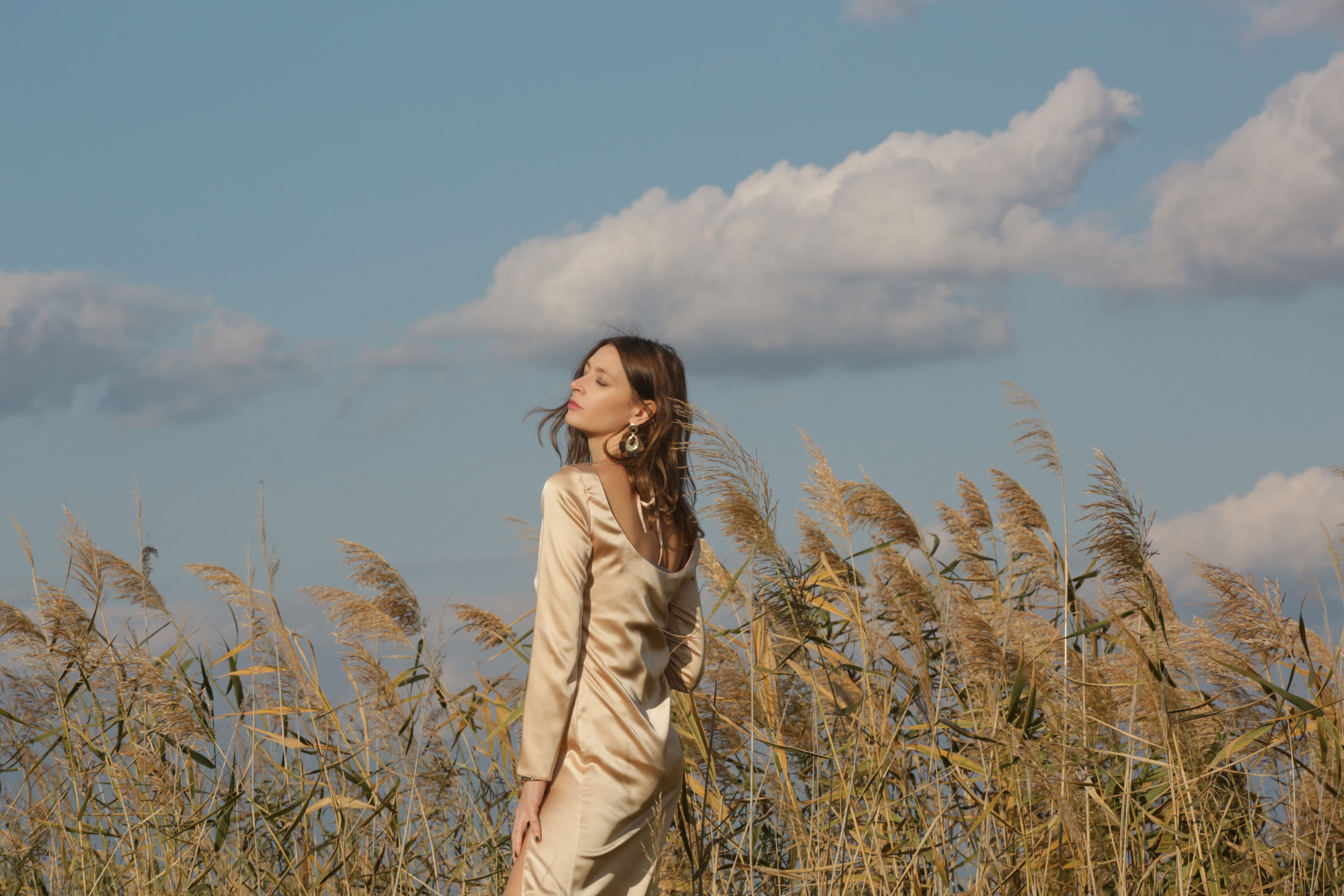 Long Sleeve Dress