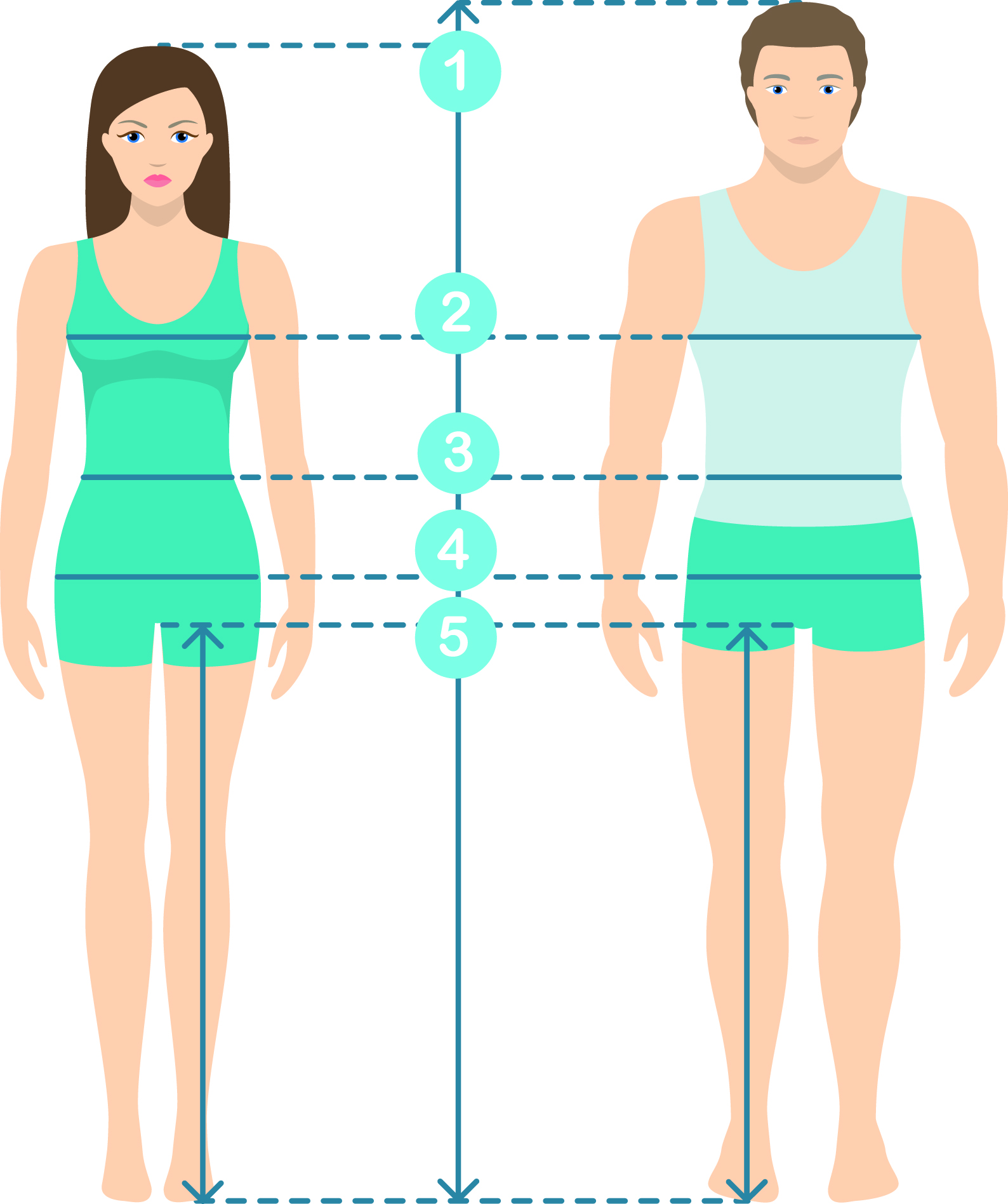 Body proportions and waist measurements for 6’3 men and women