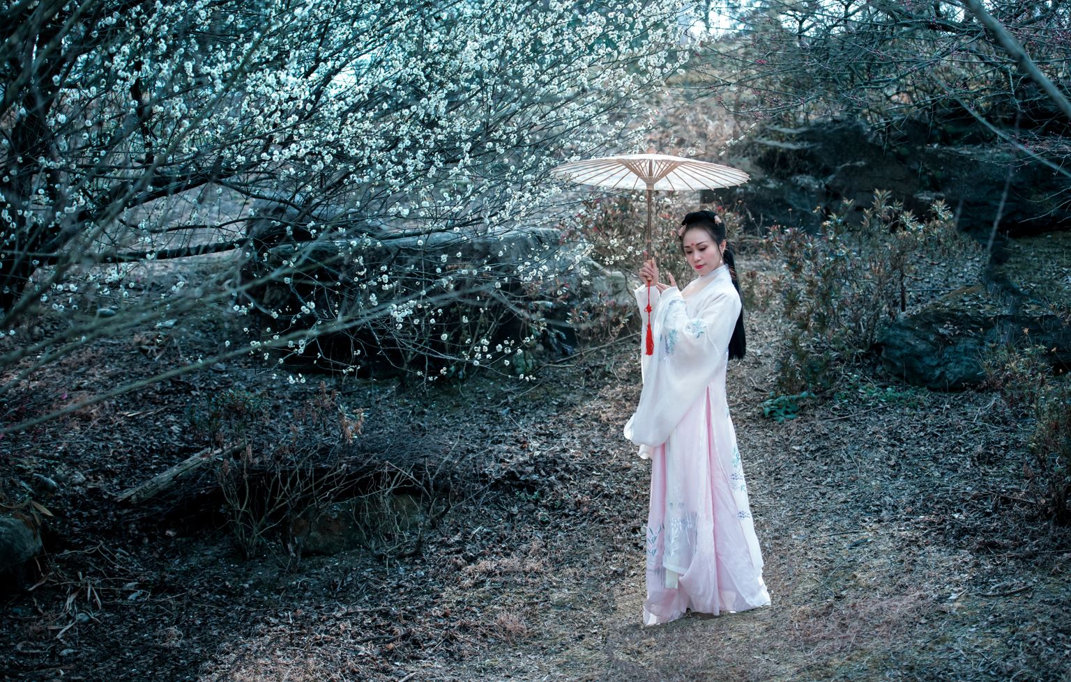 Chinese girl in China’s traditional clothes