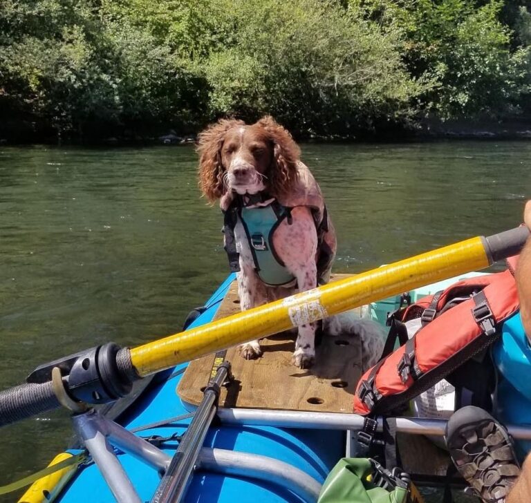 Top Attractions & Things to Do in Mt. Hood National Forest Hood MWR