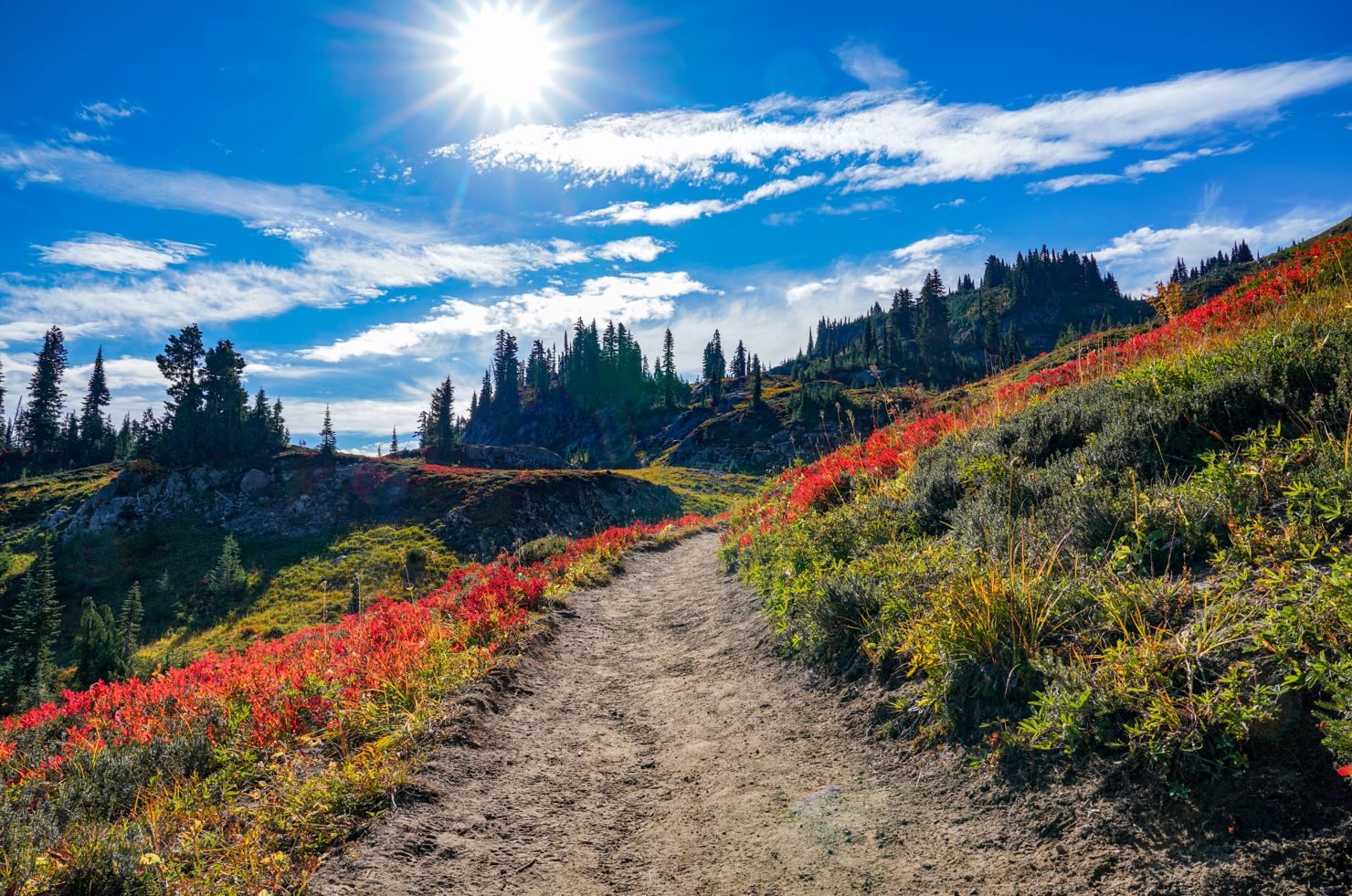 Paradise Park Loop Trail in orange colors during fall