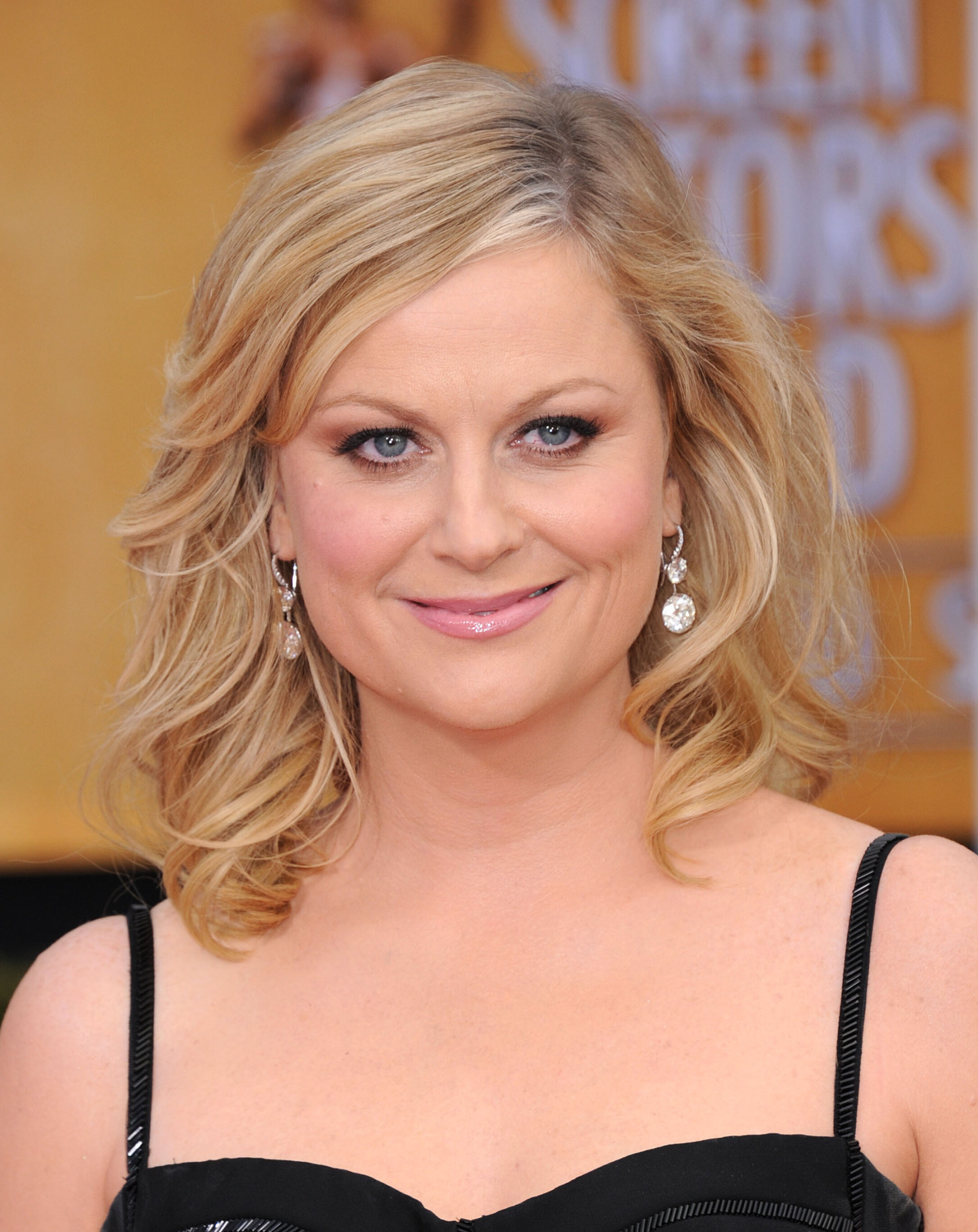 Amy Poehler