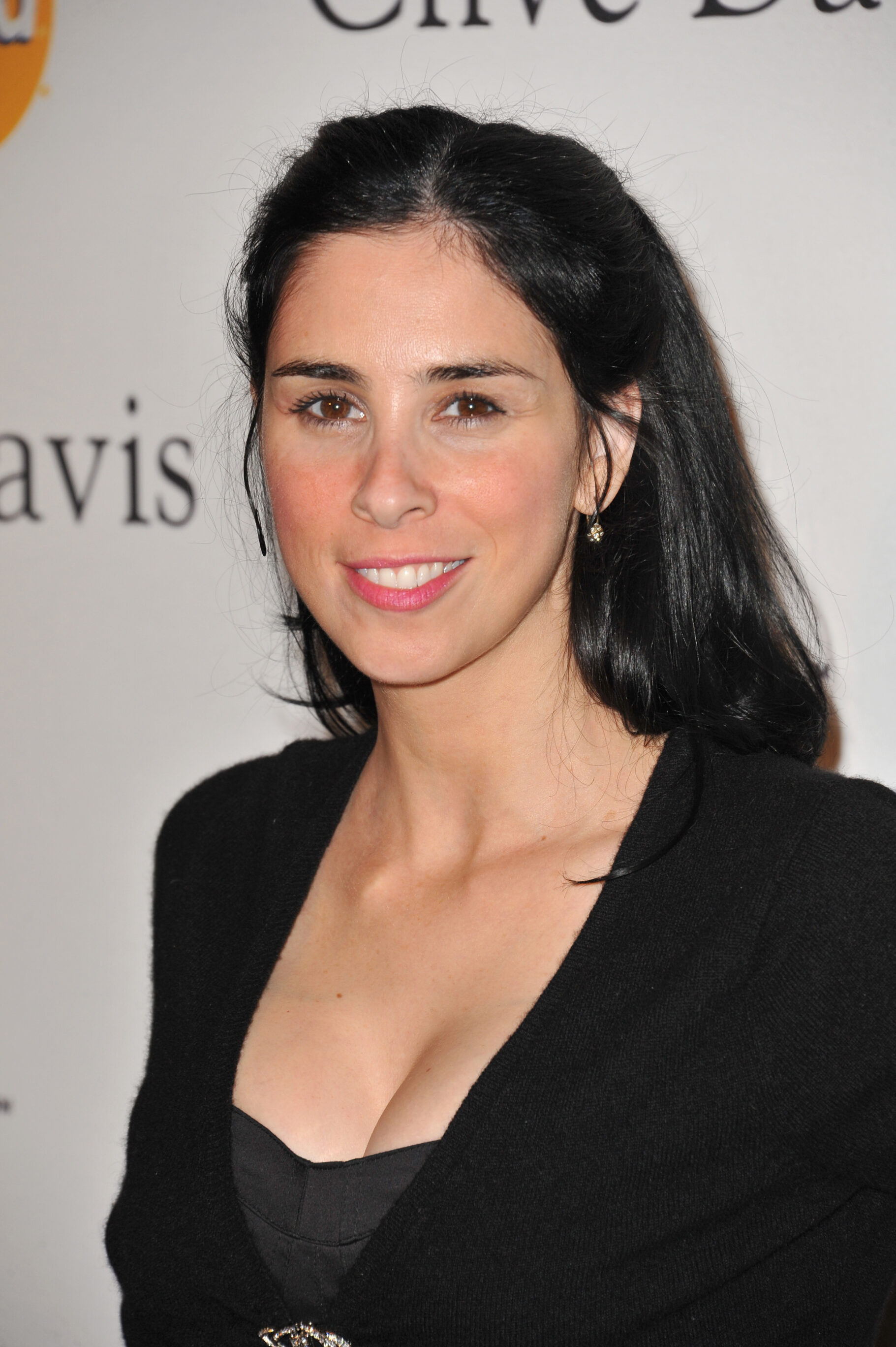  Sarah Silverman