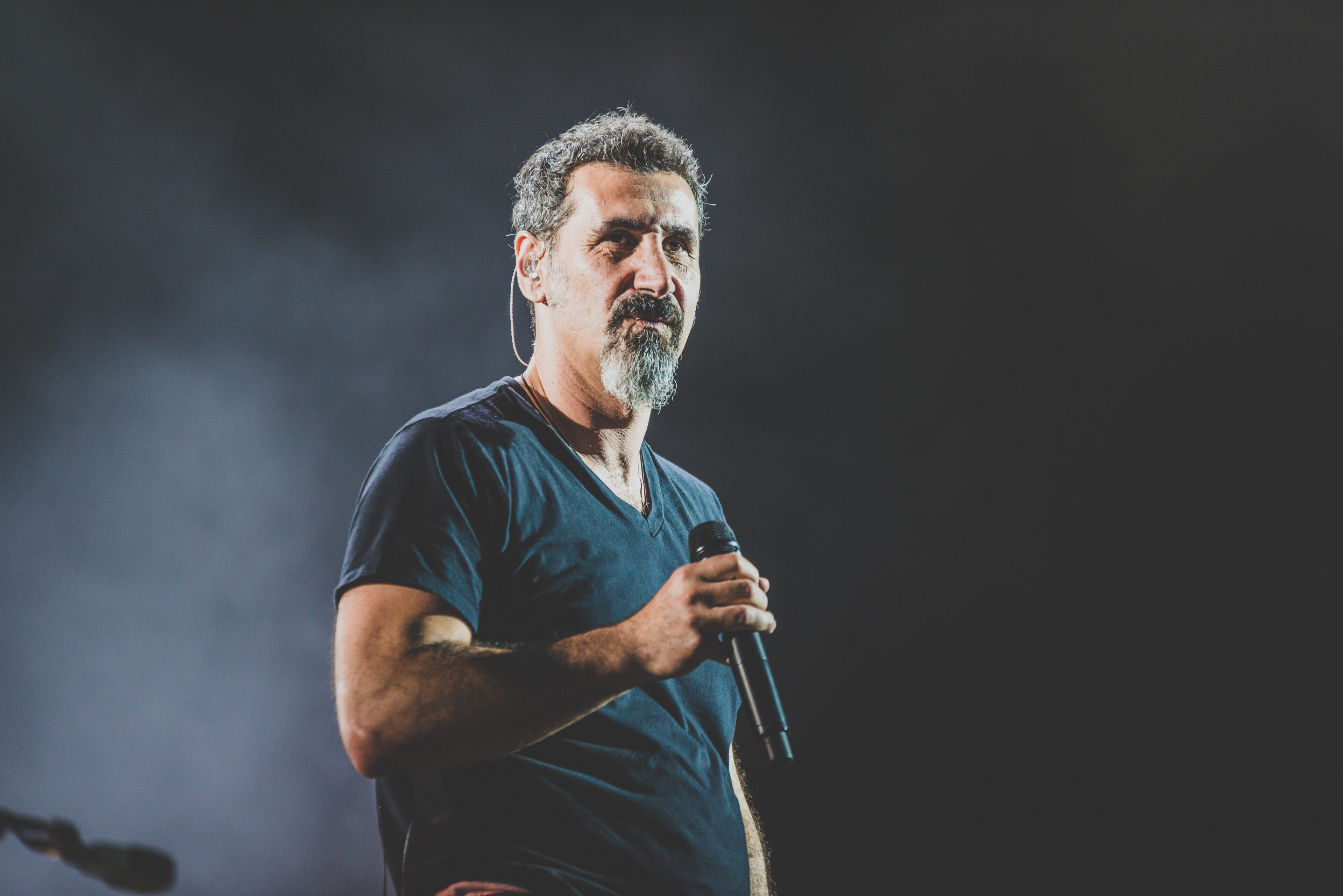  Serj Tankian