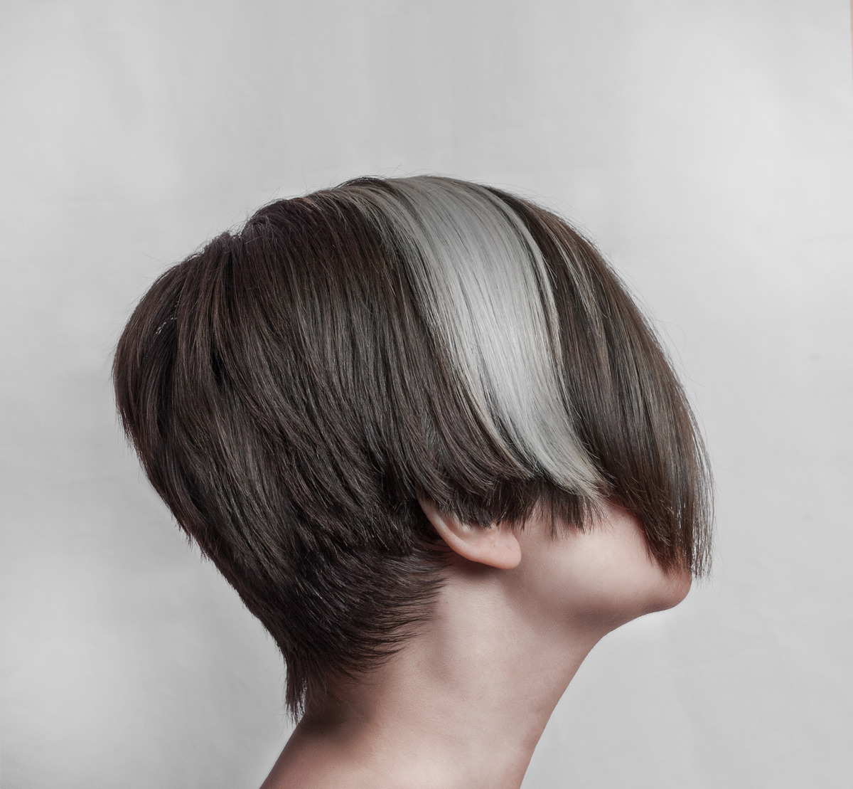 Straight Pixie-Bob With Grey Highlights