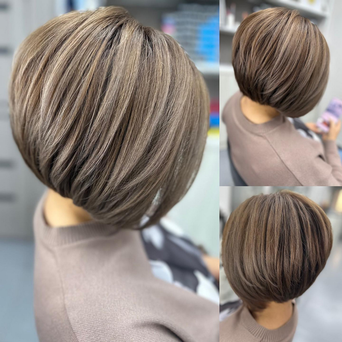 Dark Blonde Pixie Bob