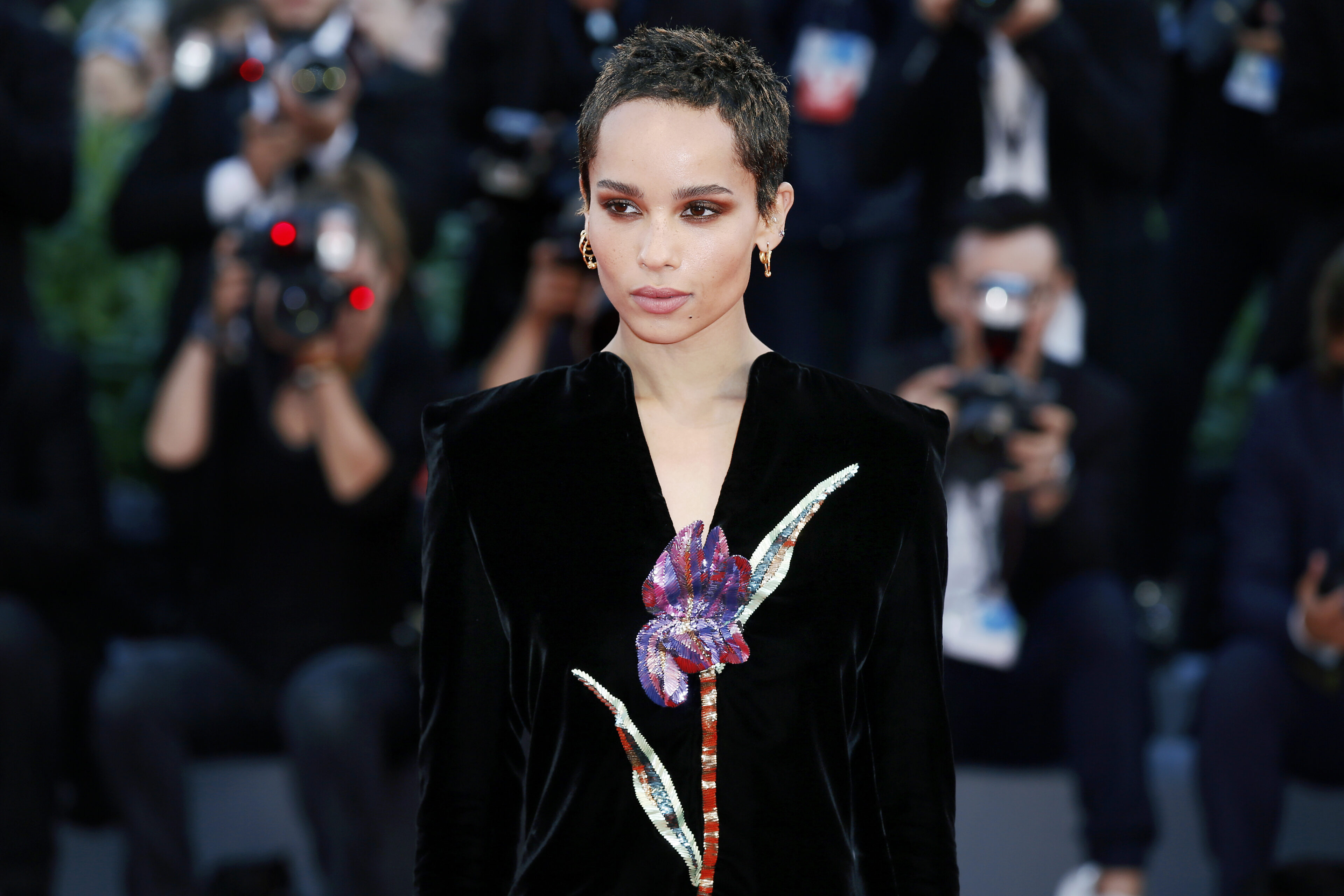 Zoe Kravitz (2017)