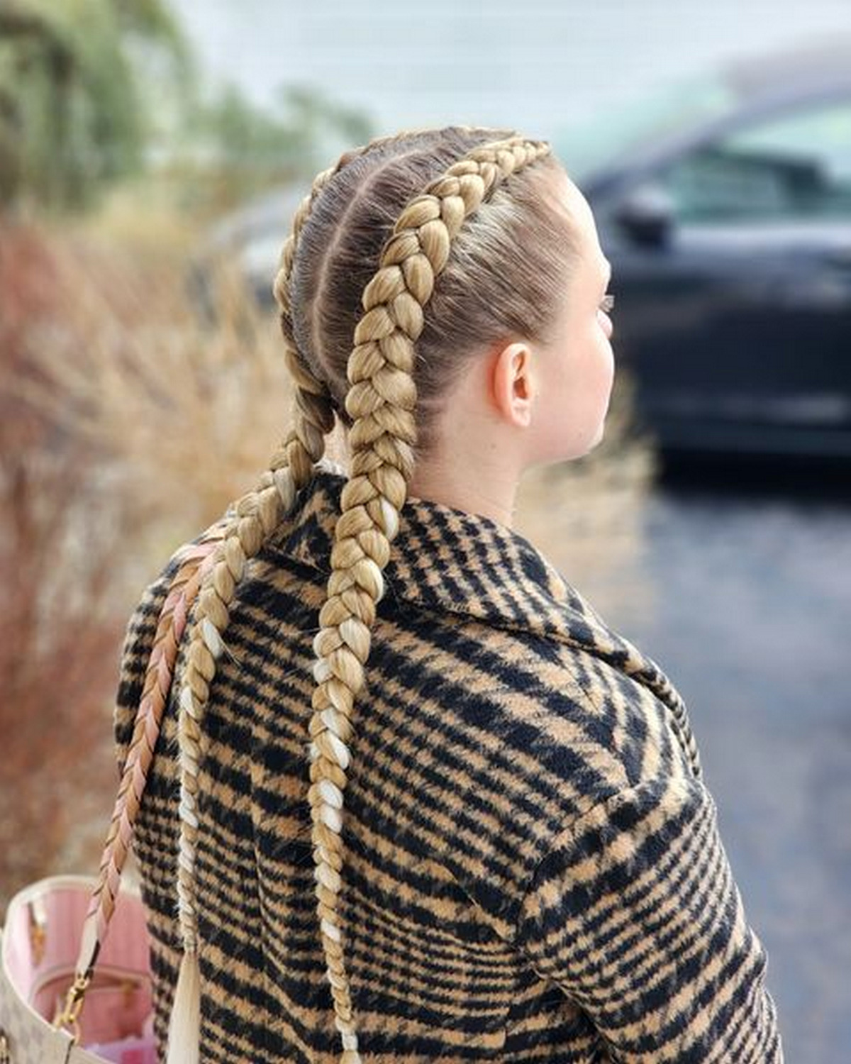 Dutch Braid