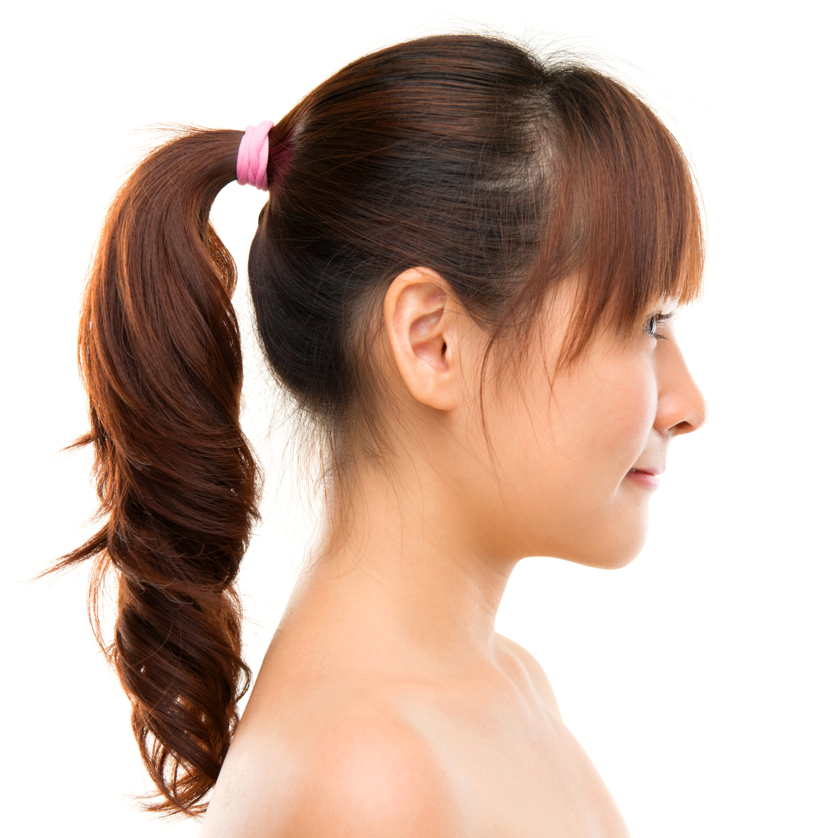 Ponytail Cinnamon Brown Hair