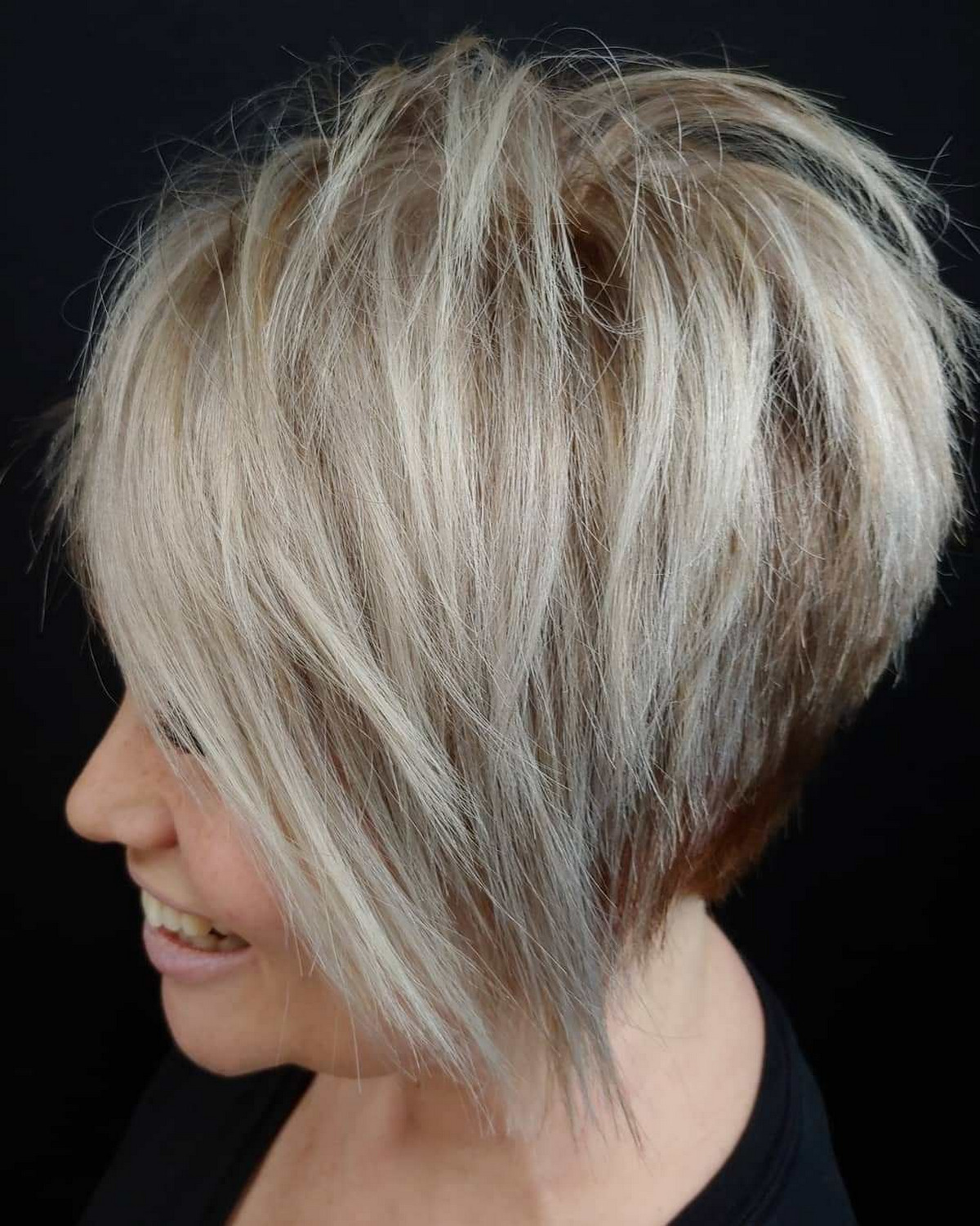 Platinum White Pixie Bob