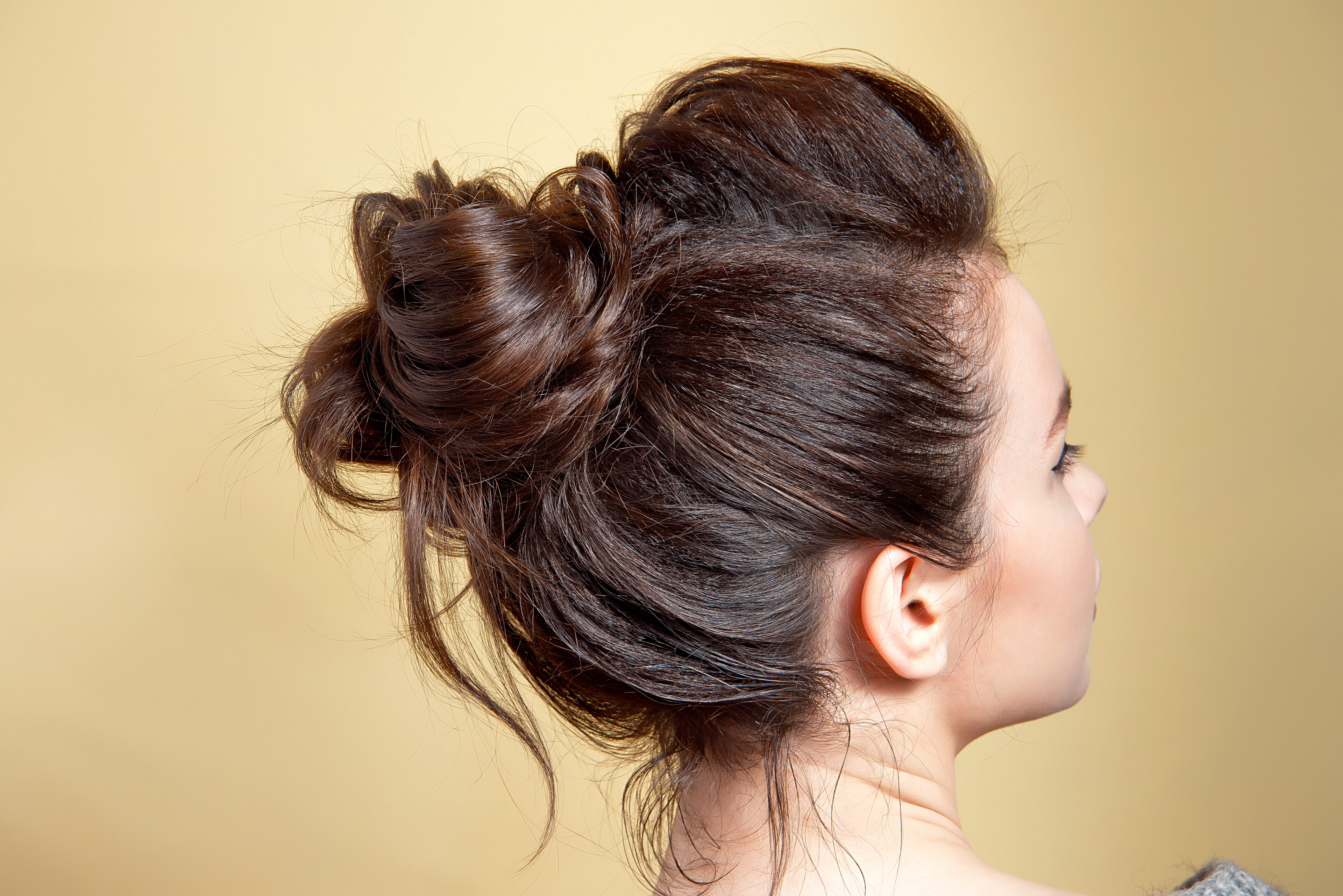 Chignon Cinnamon Brown Hair