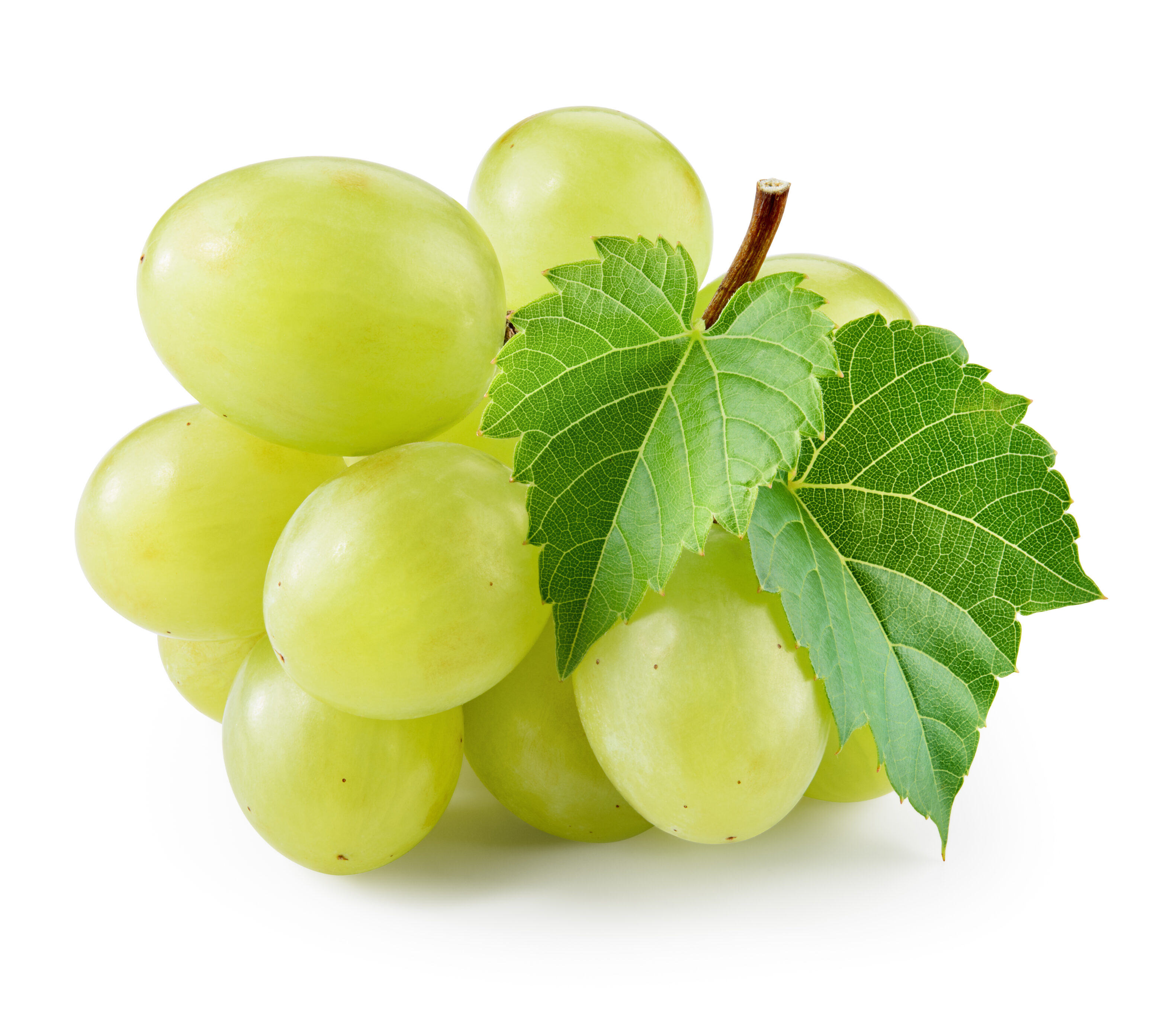 A Small Bunch Of Grapes