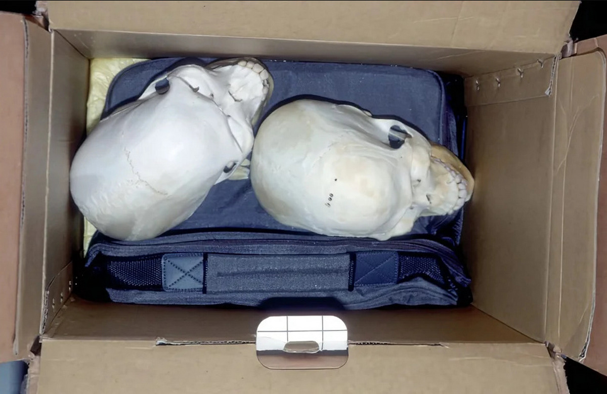 Dahmer Collected The Skulls Of His Victims