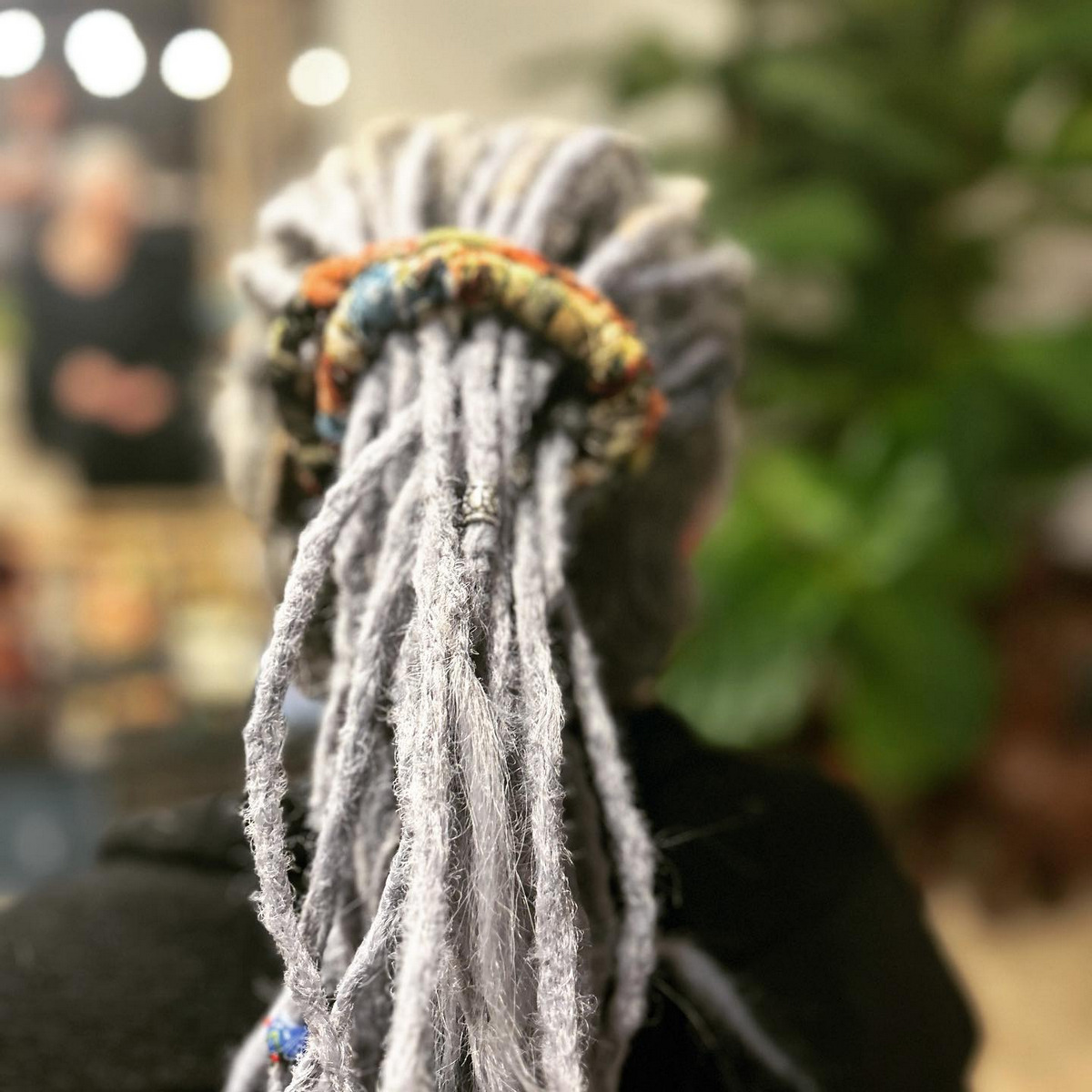 Grey Ponytail, Long Dreadlocks