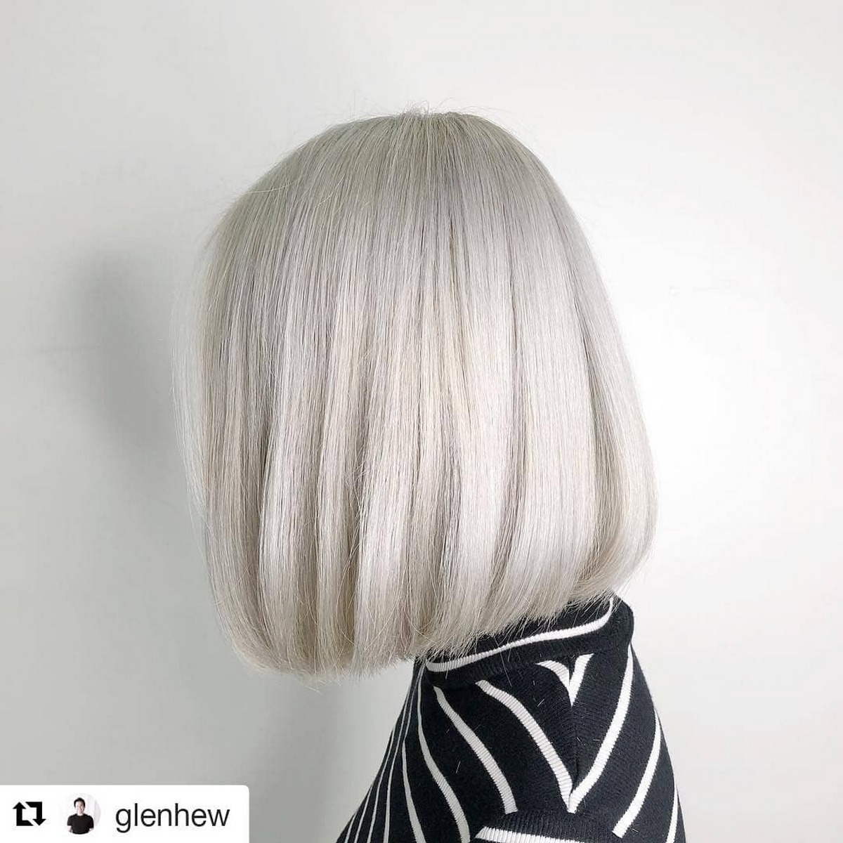 Pearl White Pixie Bob