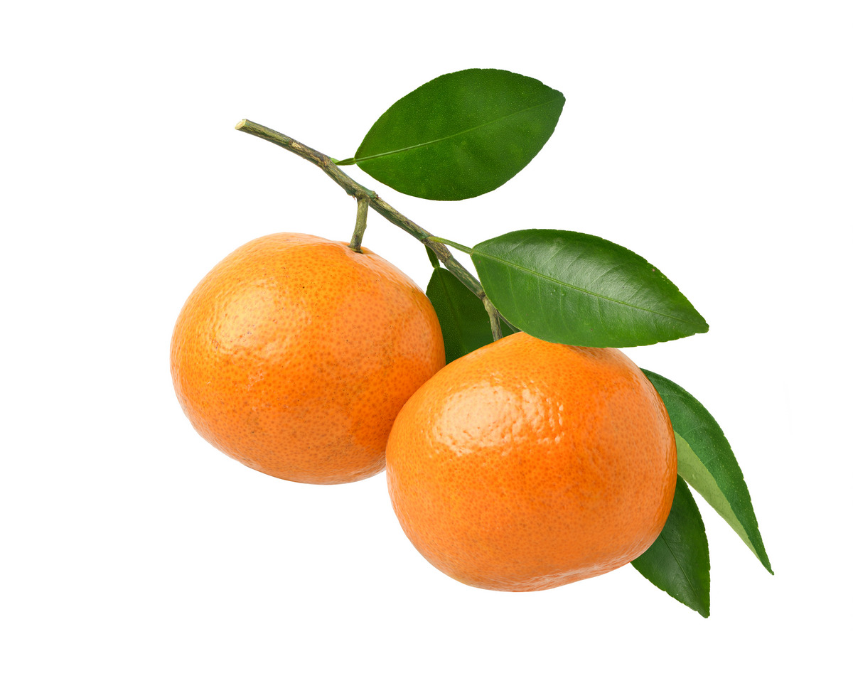 Two Large Orange