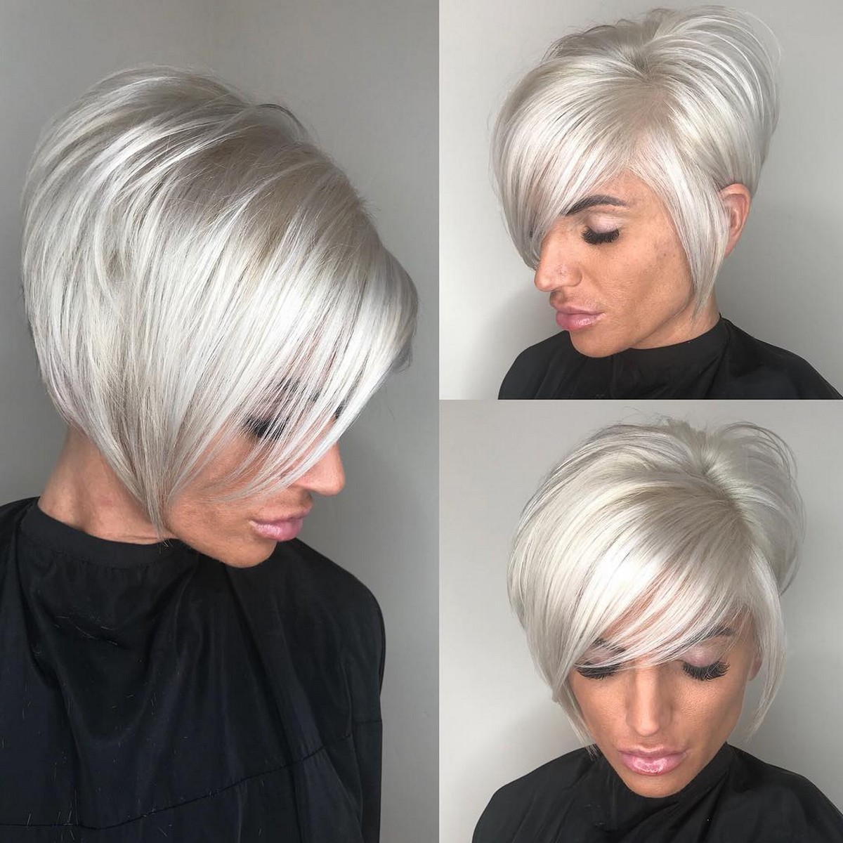 Pearl White Pixie Bob