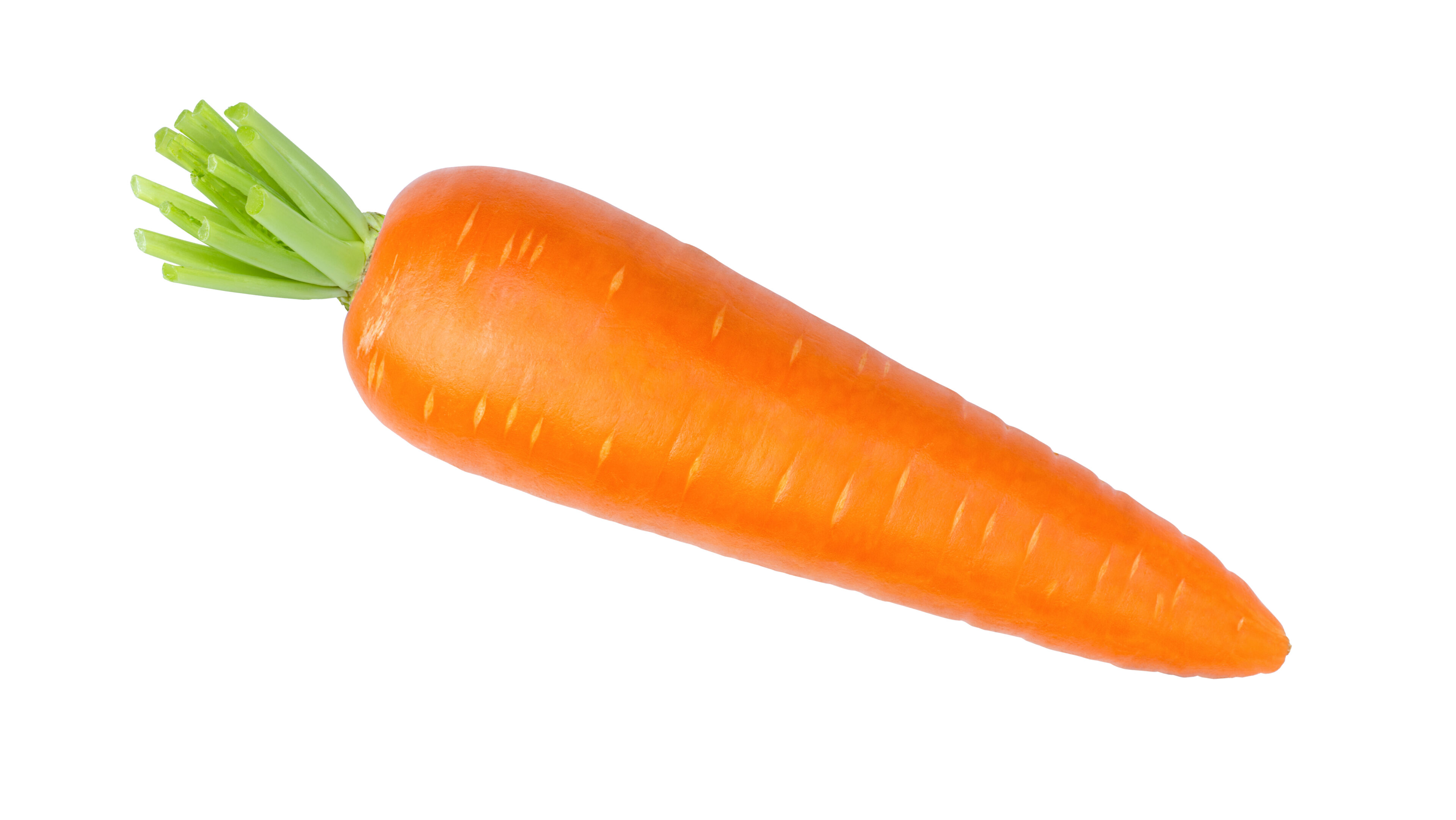 A Large Carrot