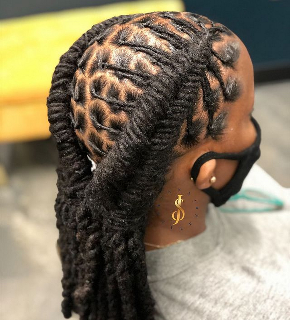 Fishtail Braids With Long Dreadlocks