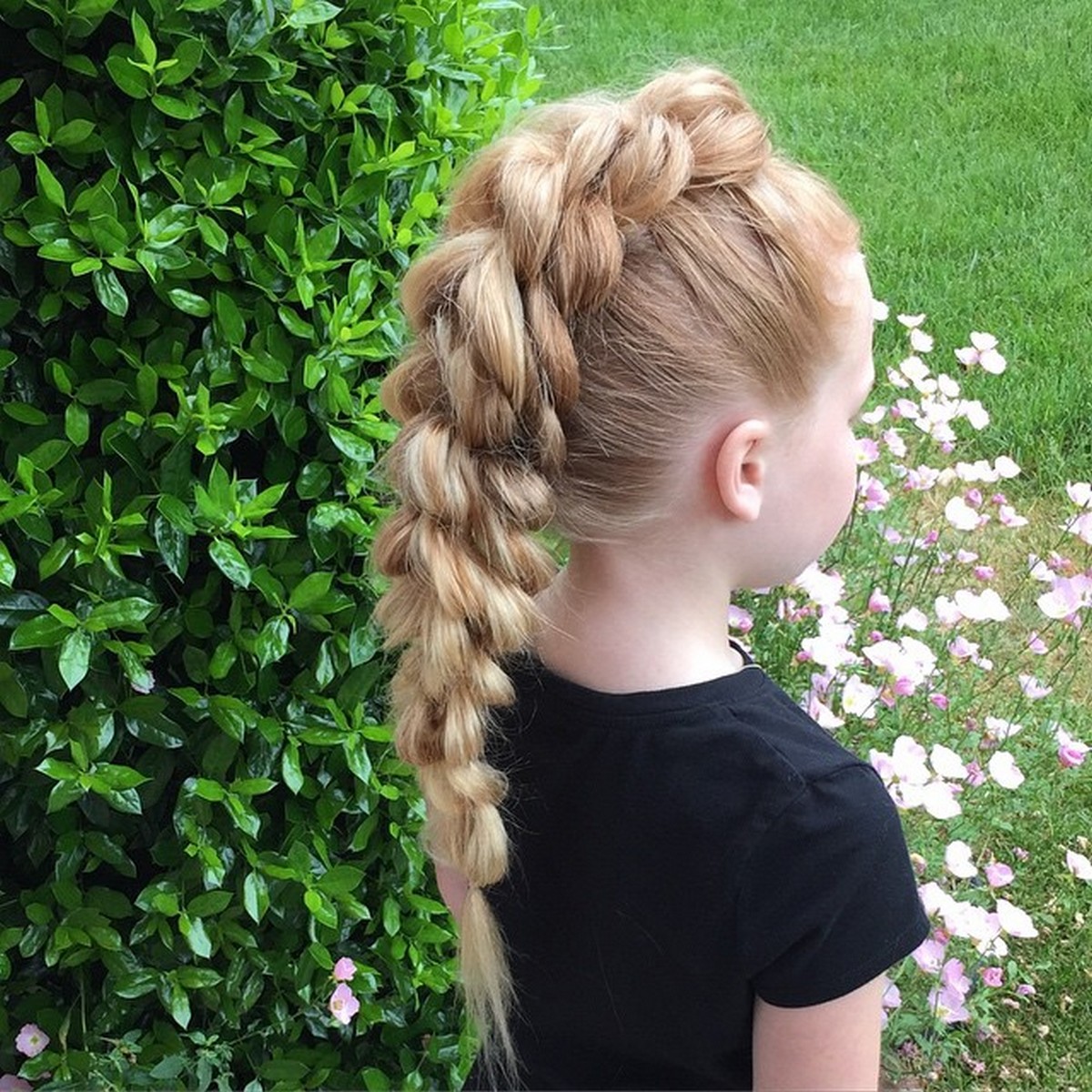 Boxer Braids