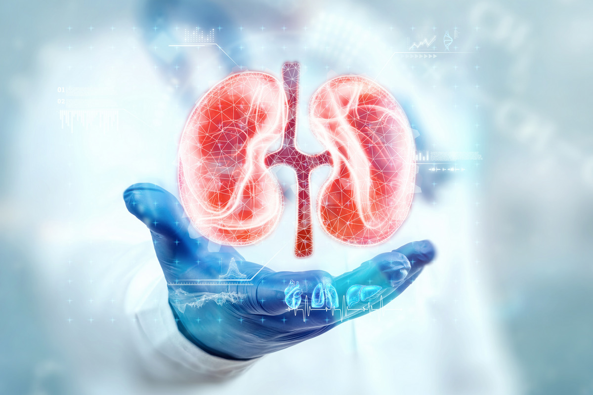 Two Kidneys