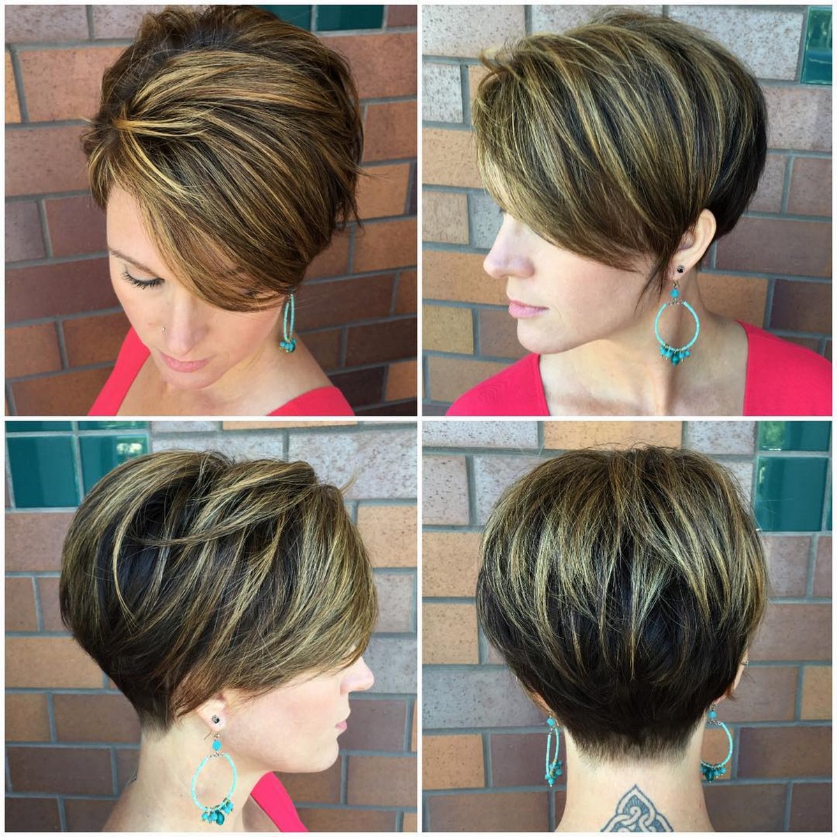 Two-Tone Rounded Pixie Bob